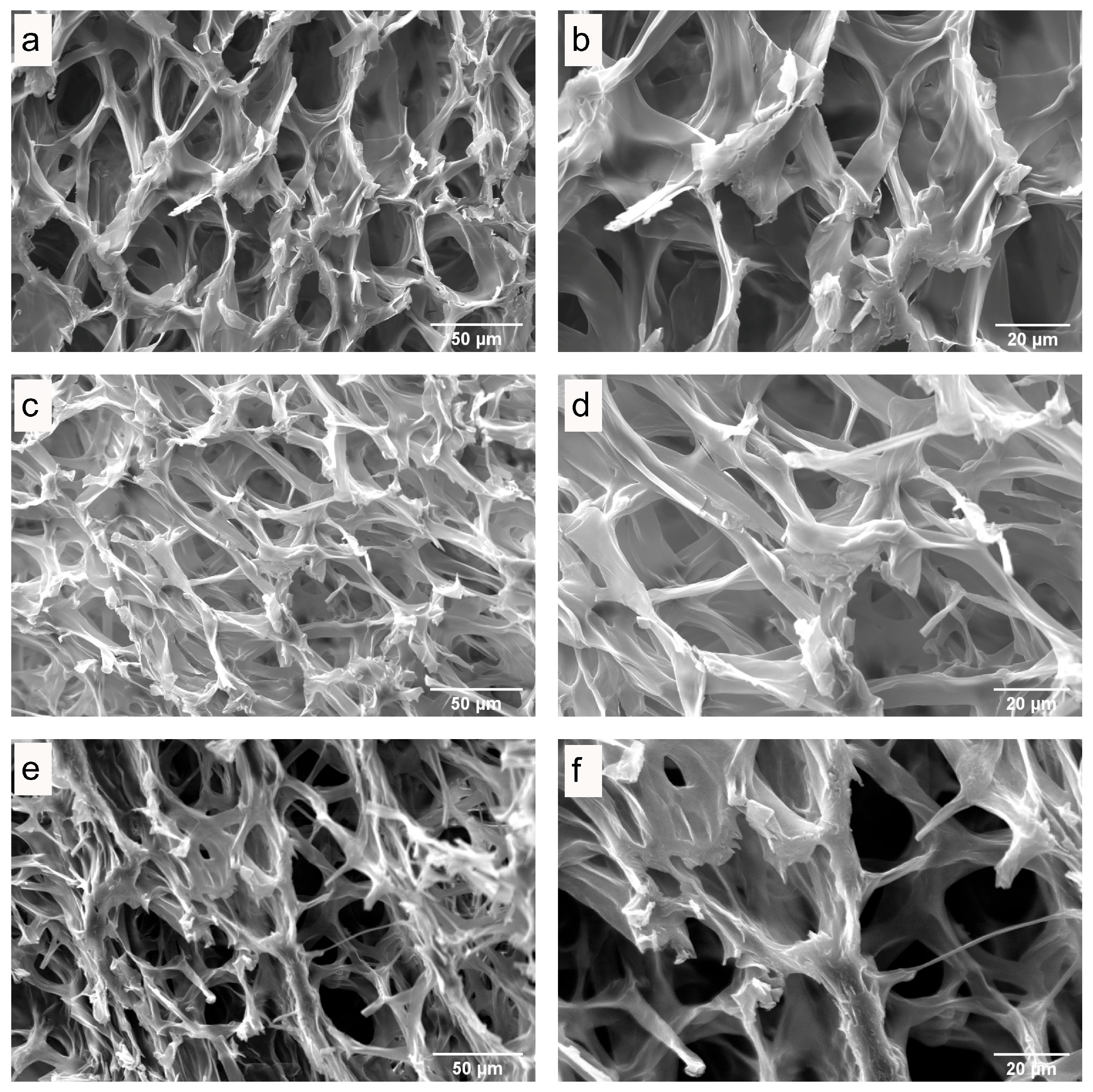 Antioxidants 13 01581 g006