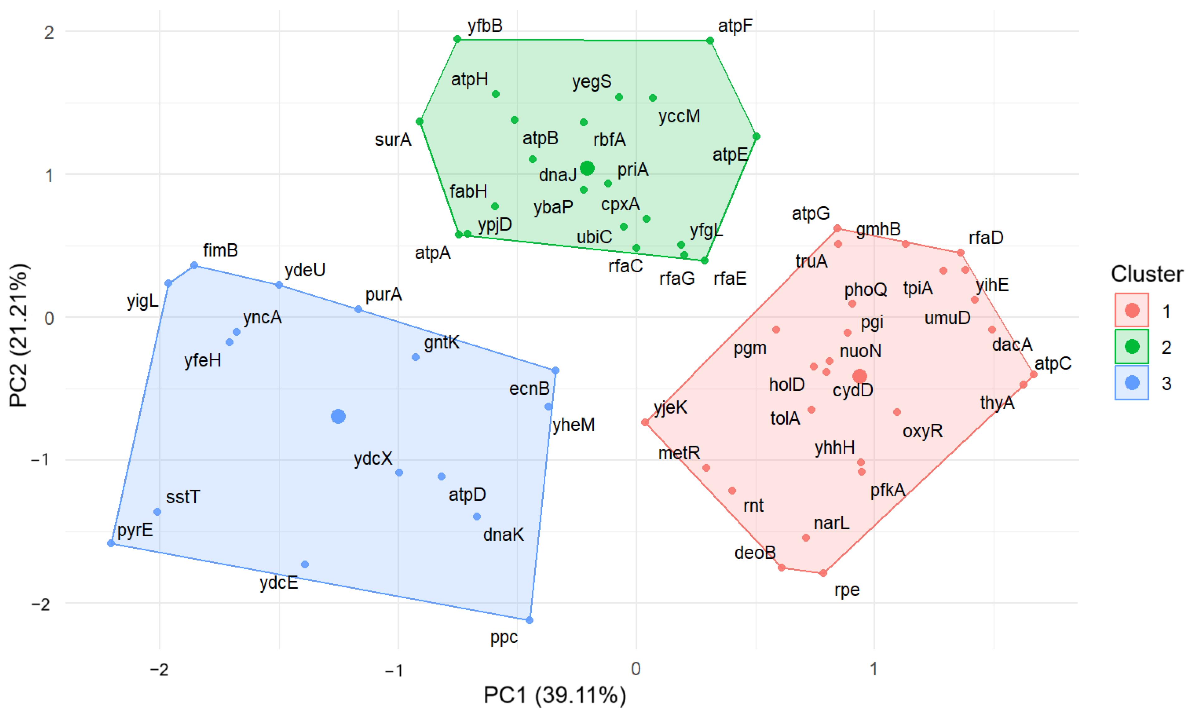 Antioxidants 13 01583 g007