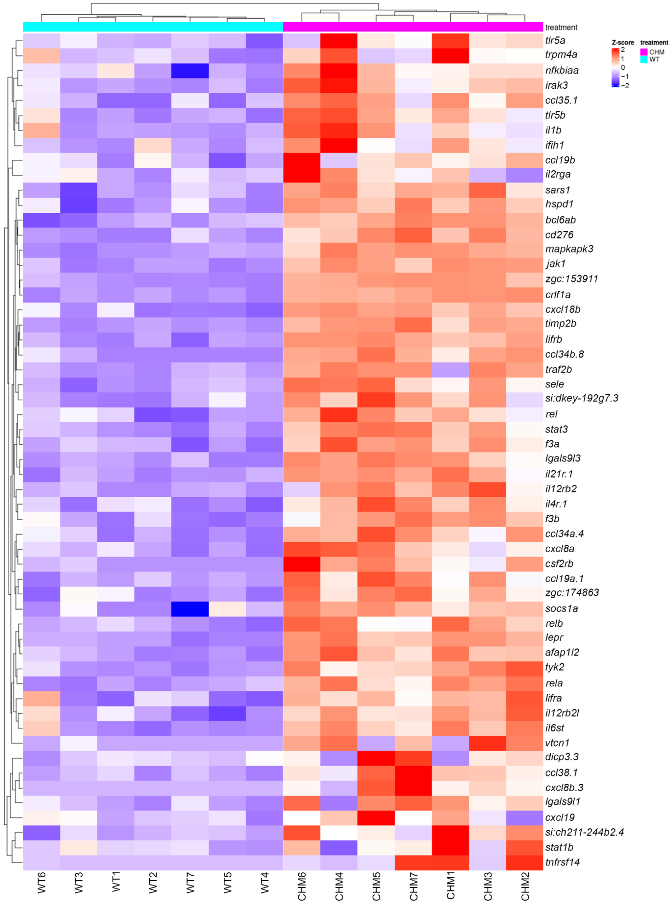 Antioxidants 13 01587 g001 Antioxidants 13 01587 g001