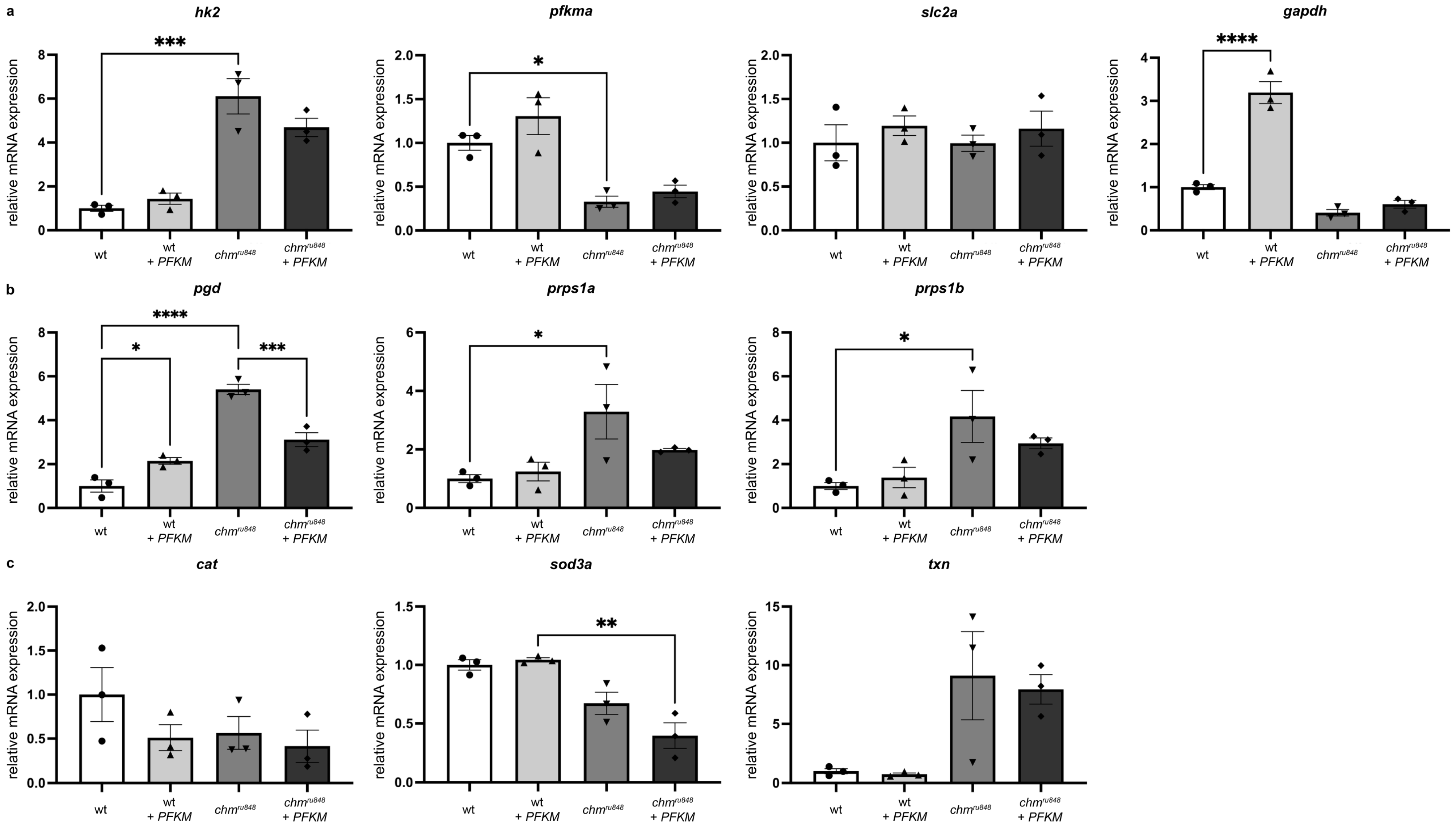 Antioxidants 13 01587 g006 Antioxidants 13 01587 g006