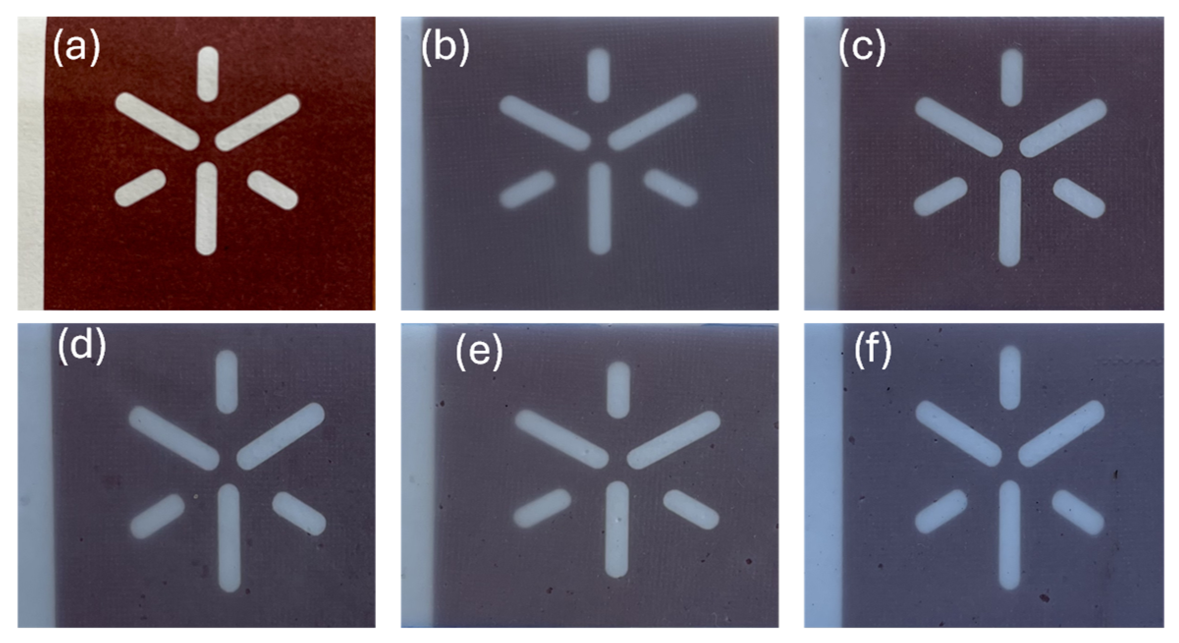 Antioxidants 13 01589 g001