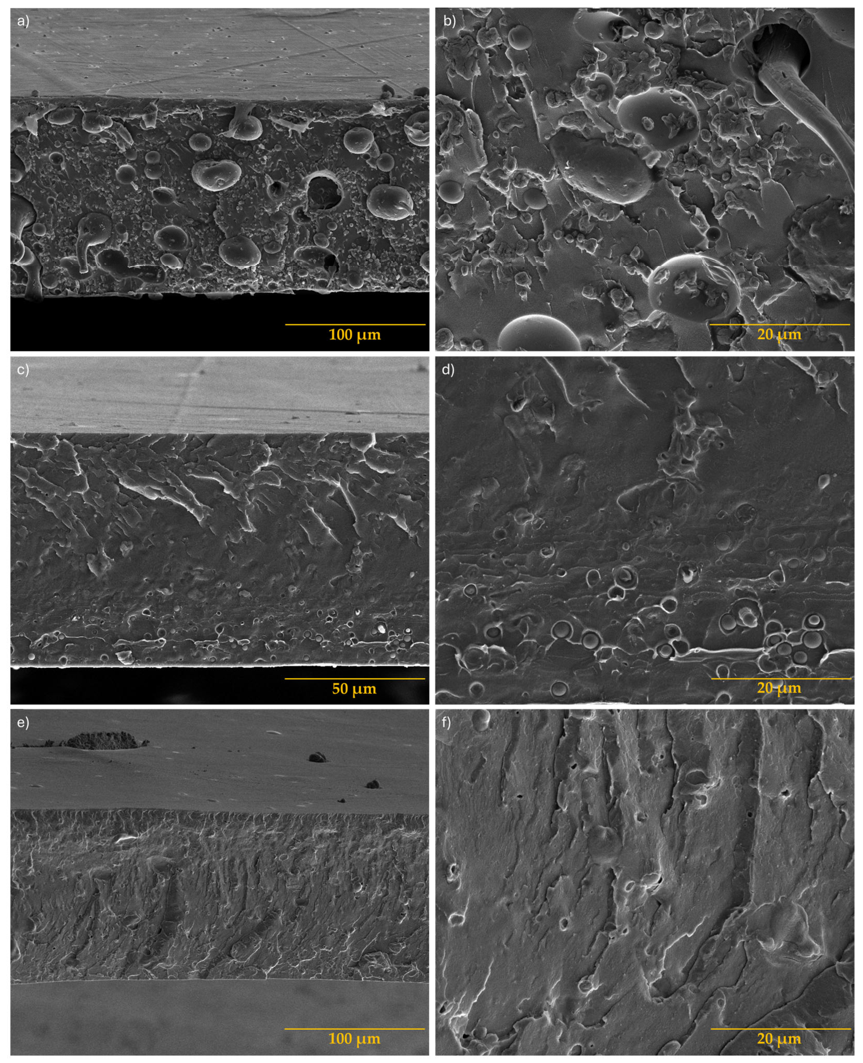 Antioxidants 13 01589 g004a