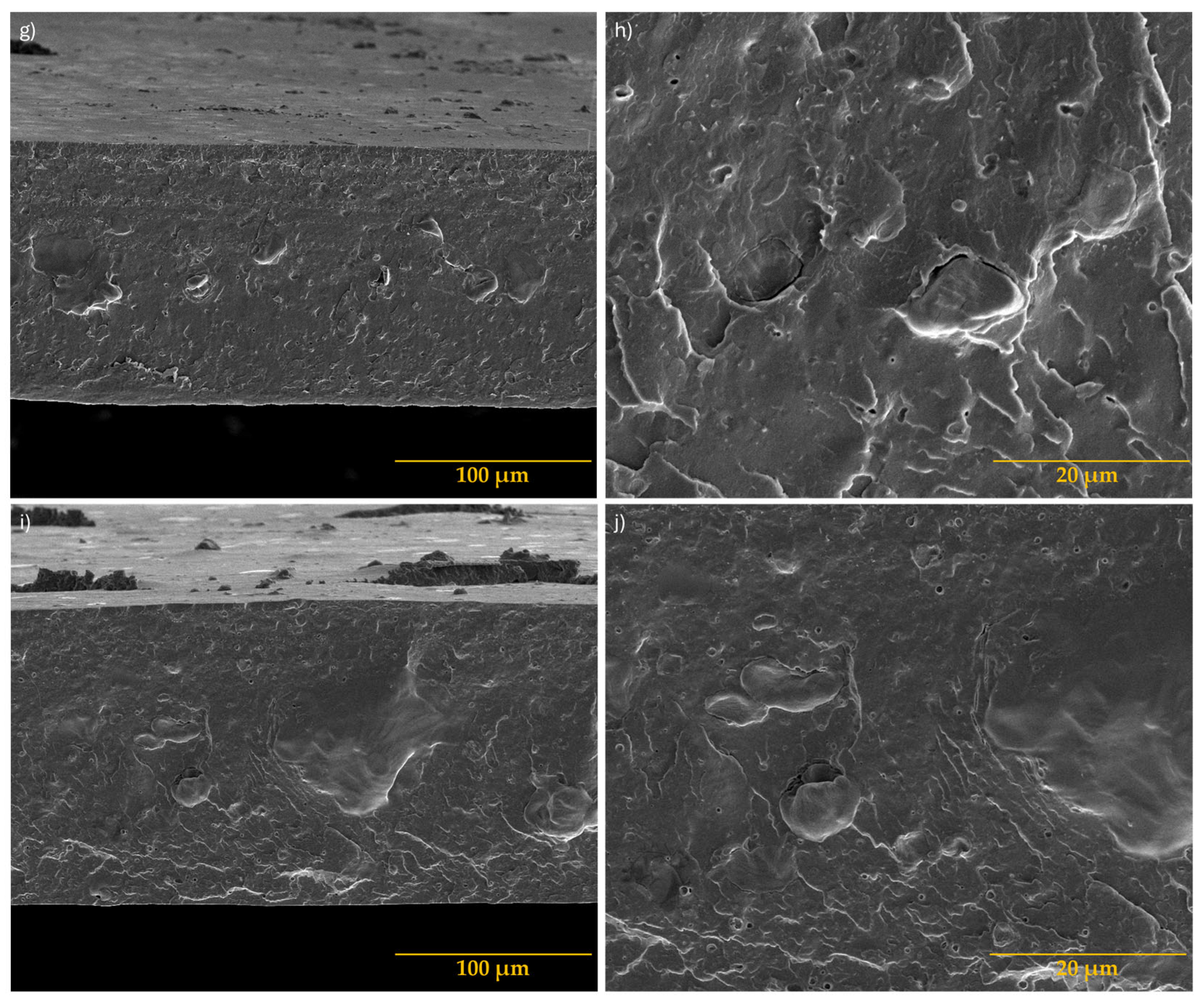 Antioxidants 13 01589 g004b