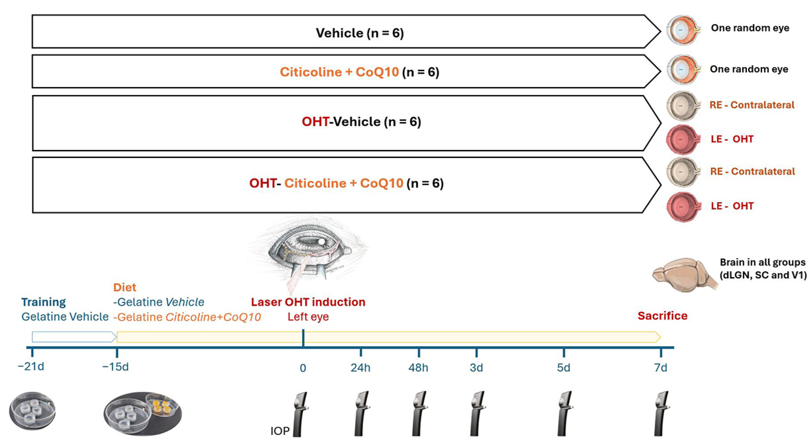 Antioxidants 14 00004 g001 Antioxidants 14 00004 g001
