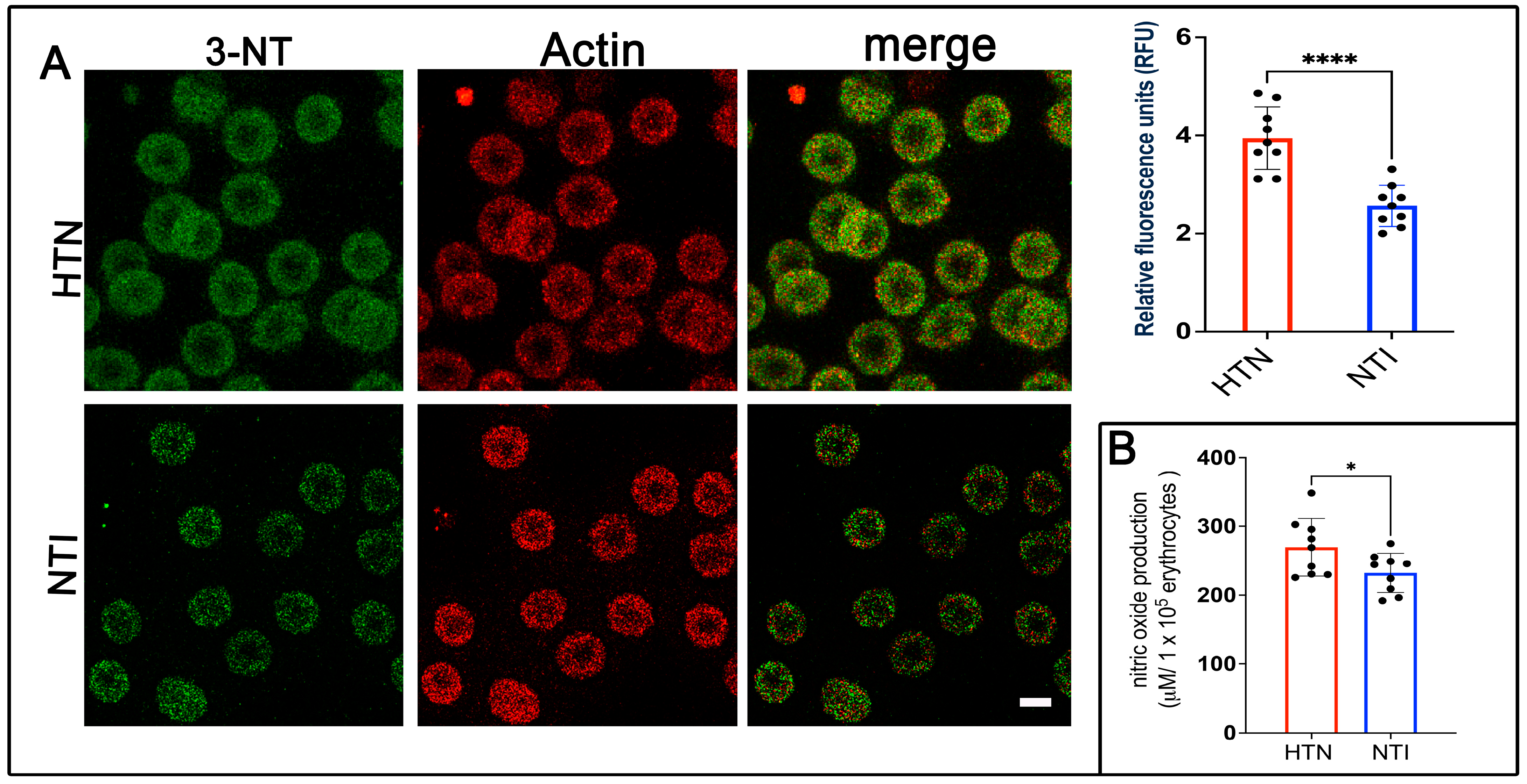 Antioxidants 14 00005 g002