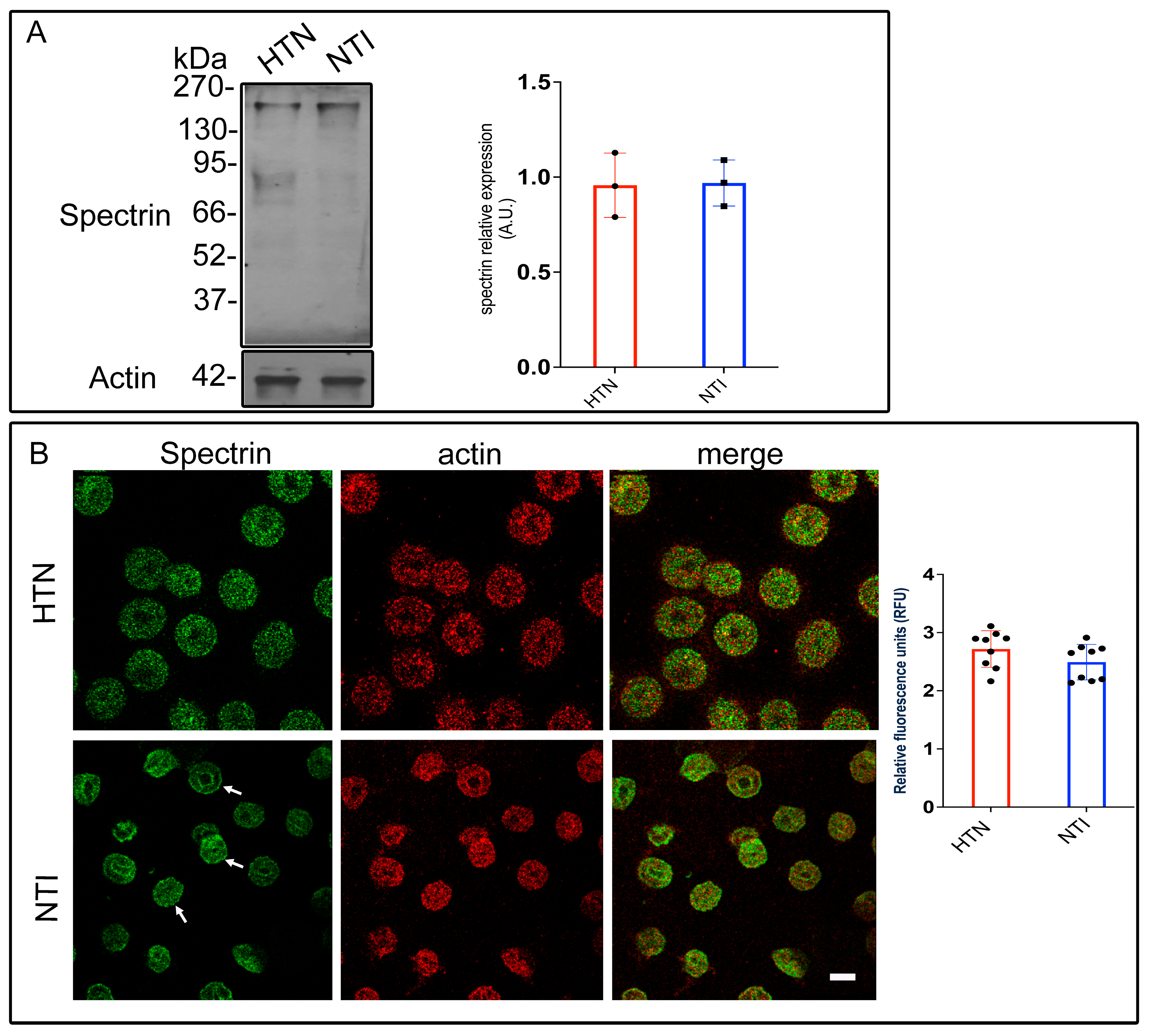 Antioxidants 14 00005 g004