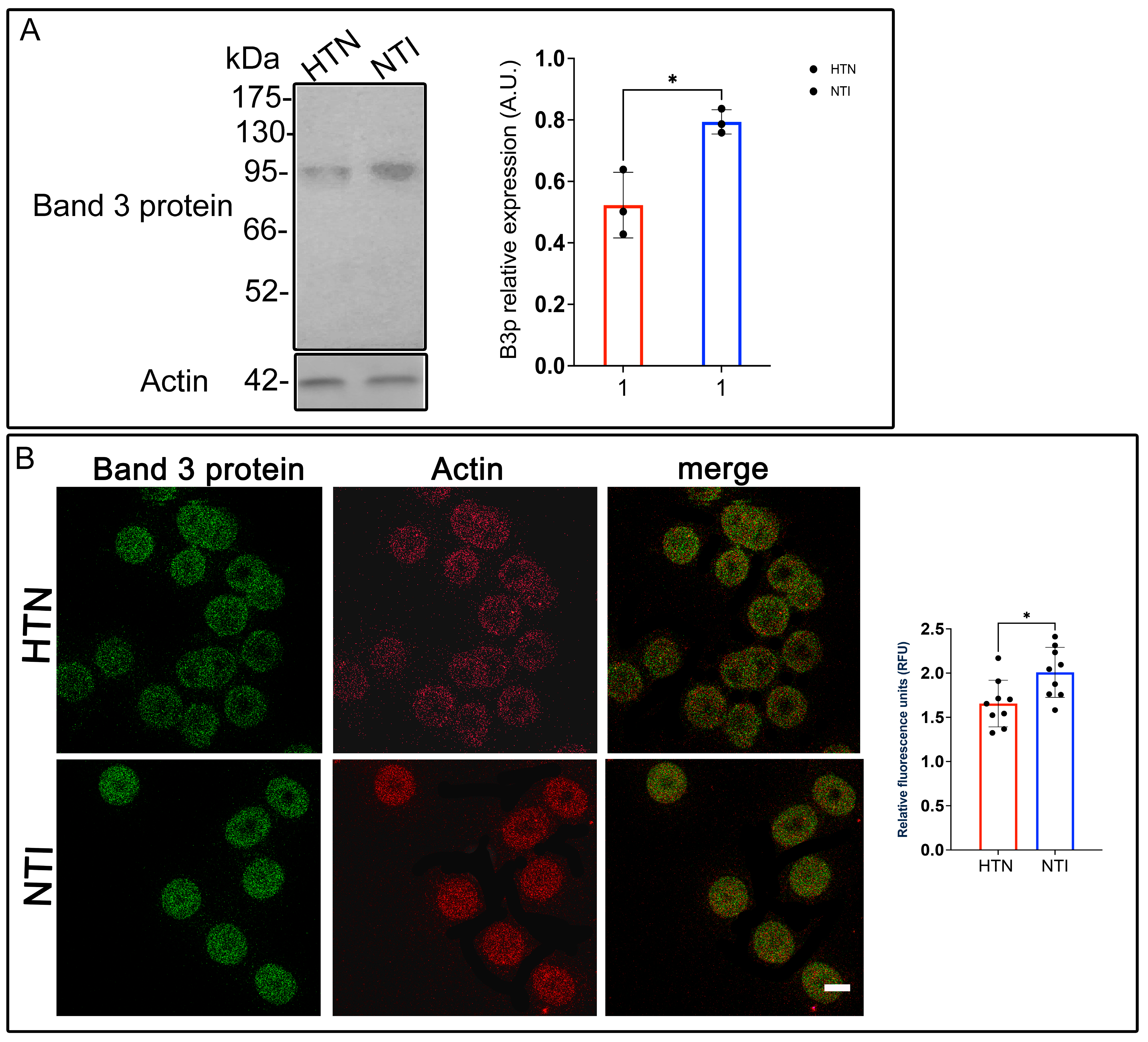 Antioxidants 14 00005 g005