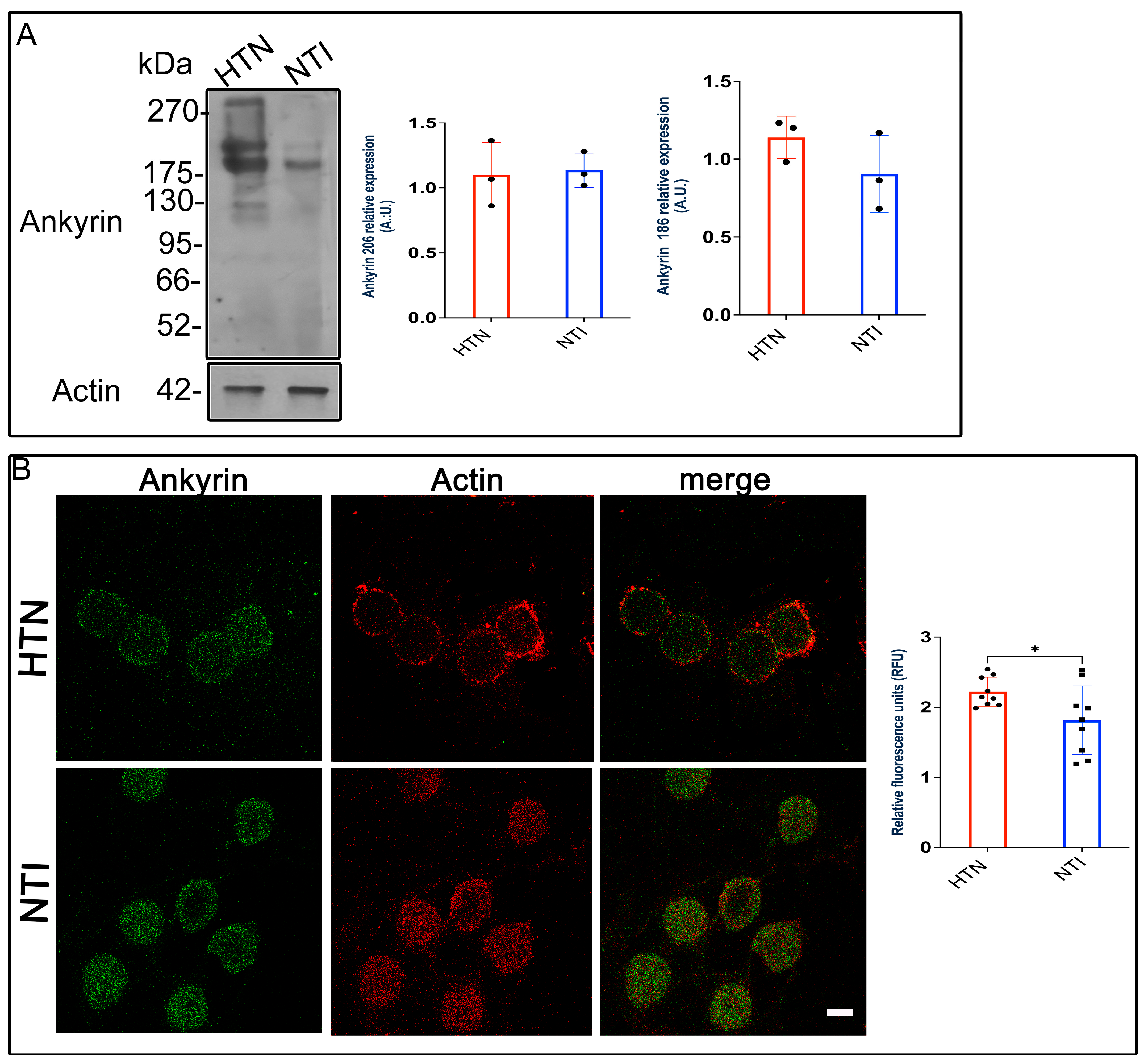 Antioxidants 14 00005 g007