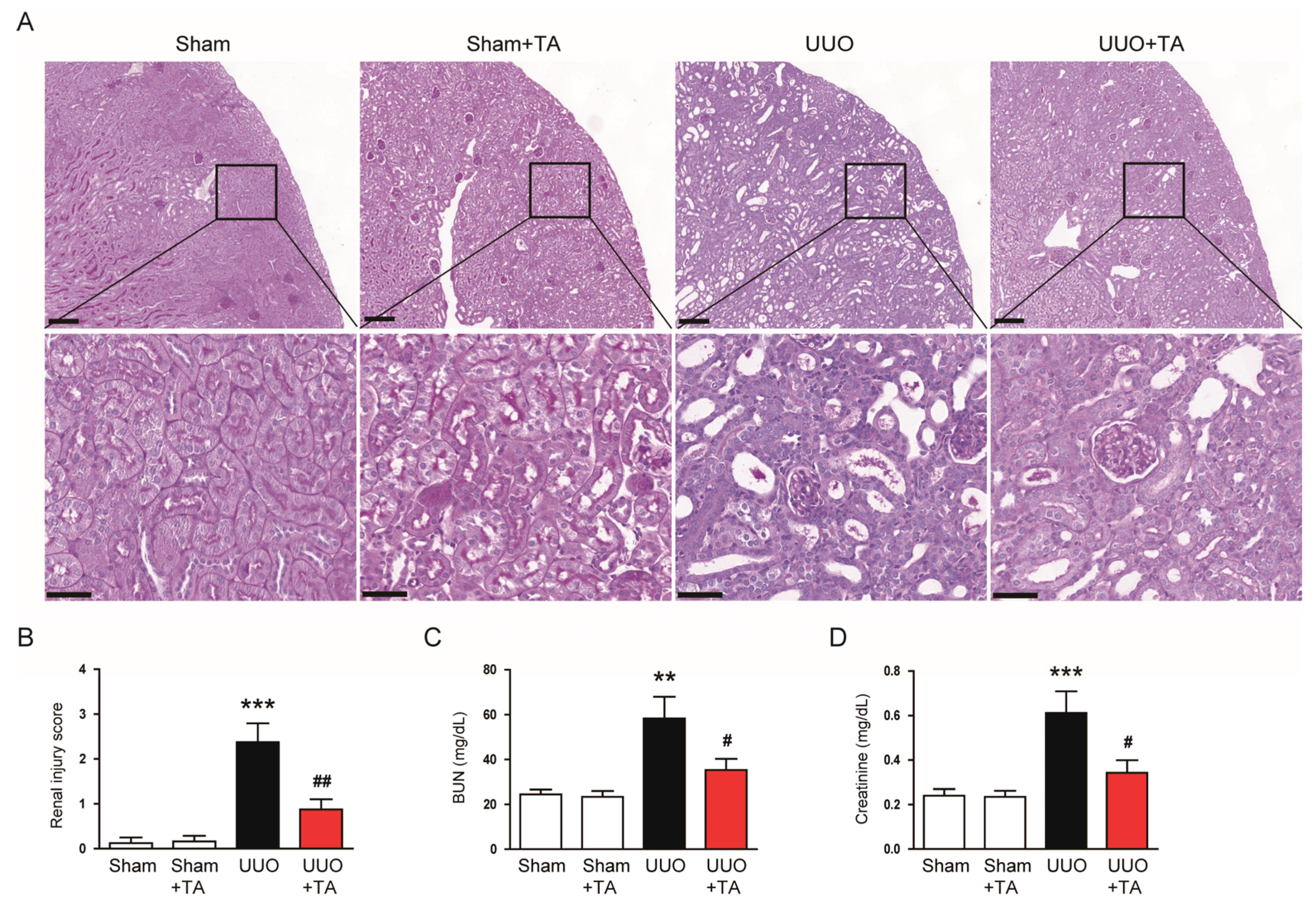 Antioxidants 14 00013 g002