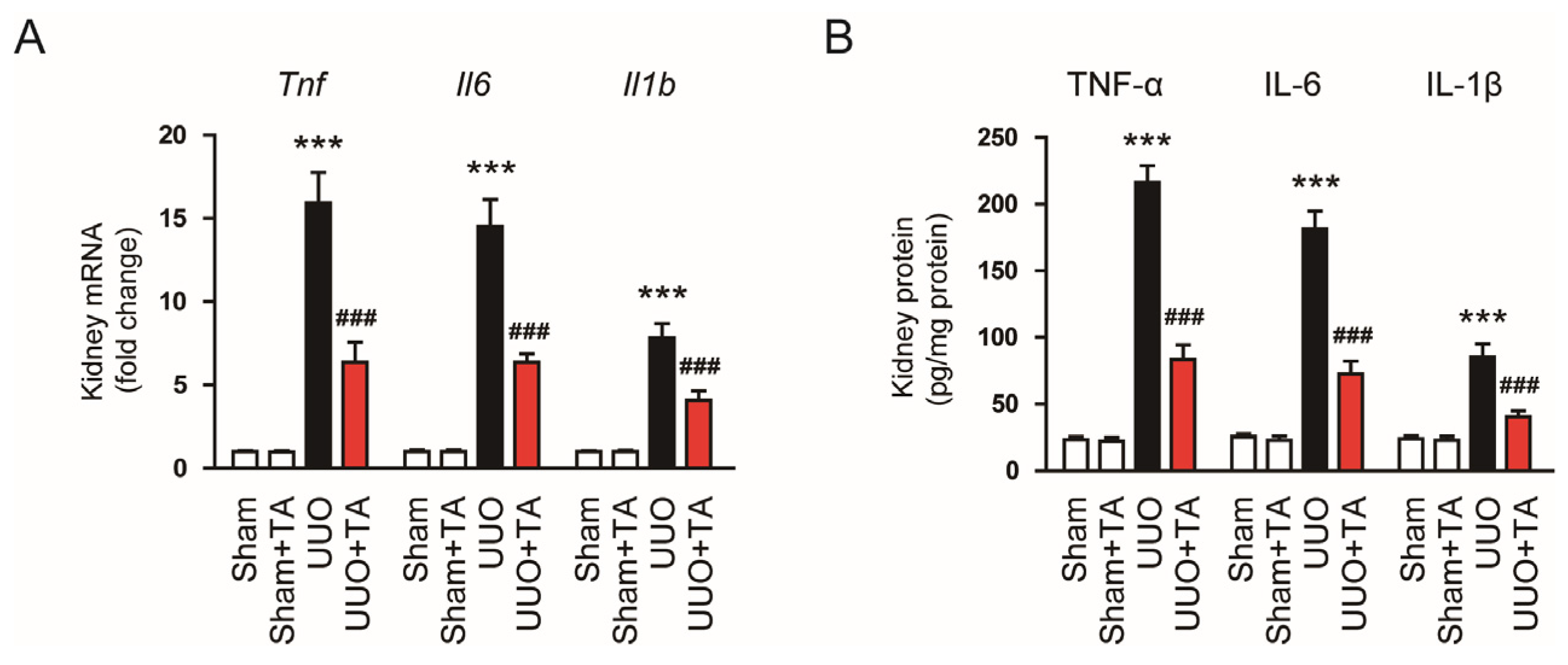 Antioxidants 14 00013 g004