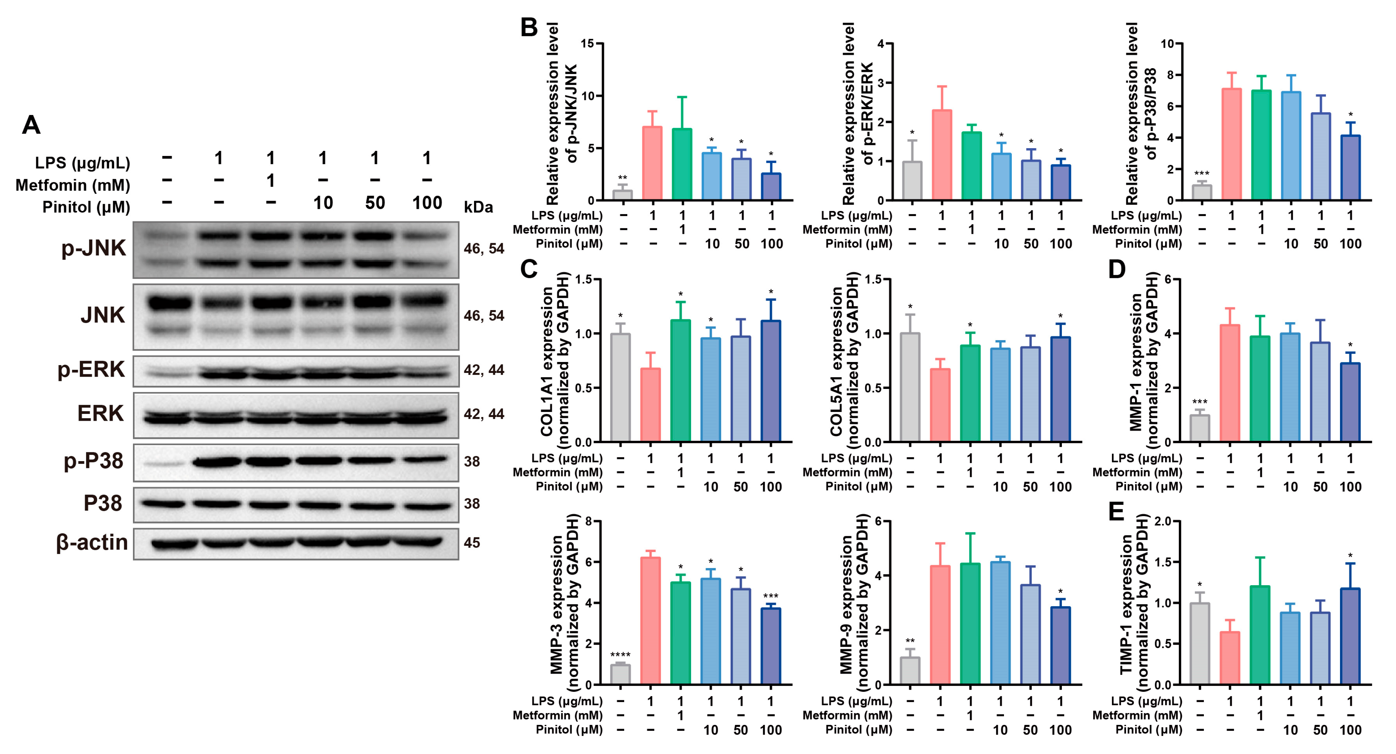 Antioxidants 14 00015 g005