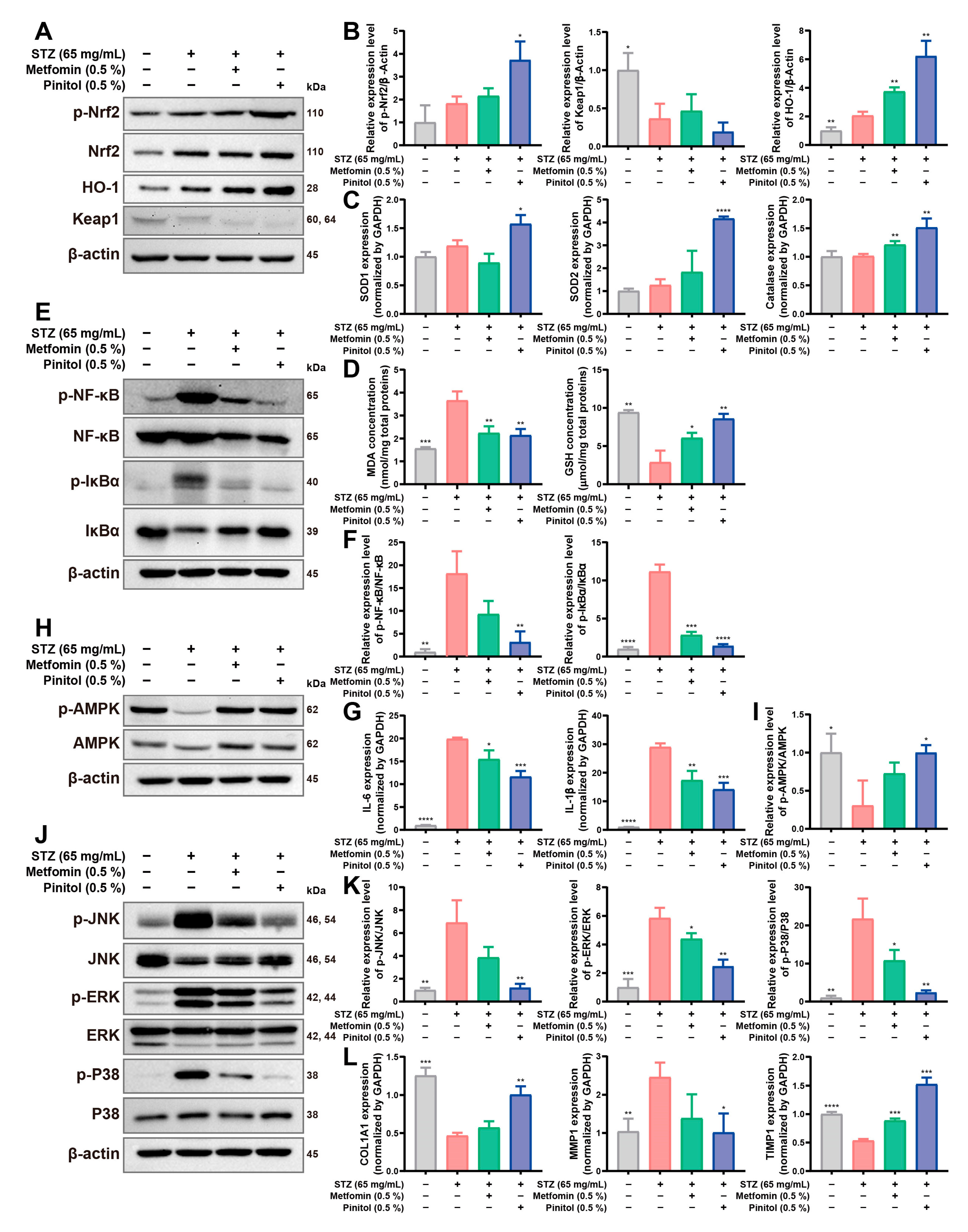 Antioxidants 14 00015 g007