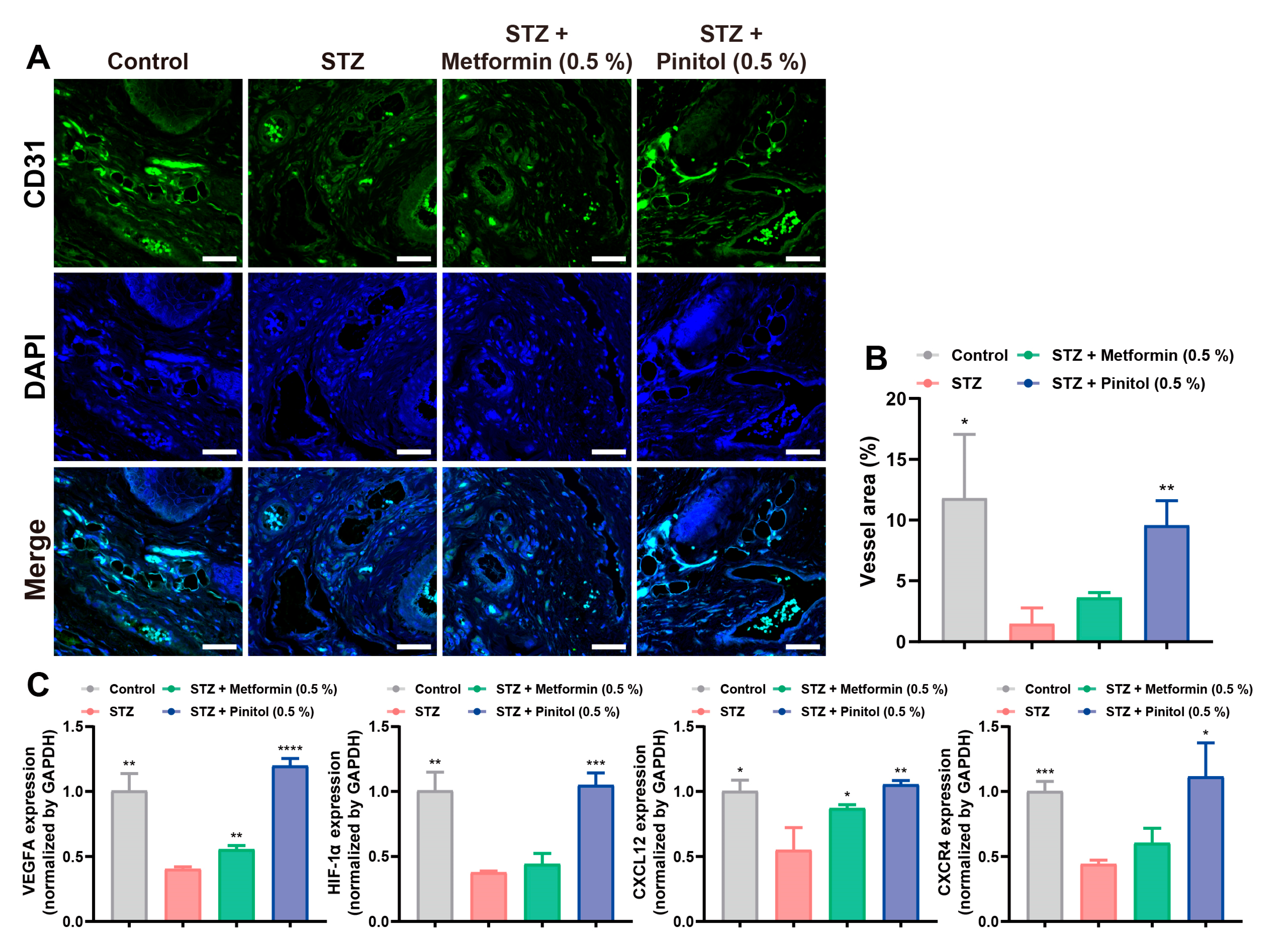 Antioxidants 14 00015 g008