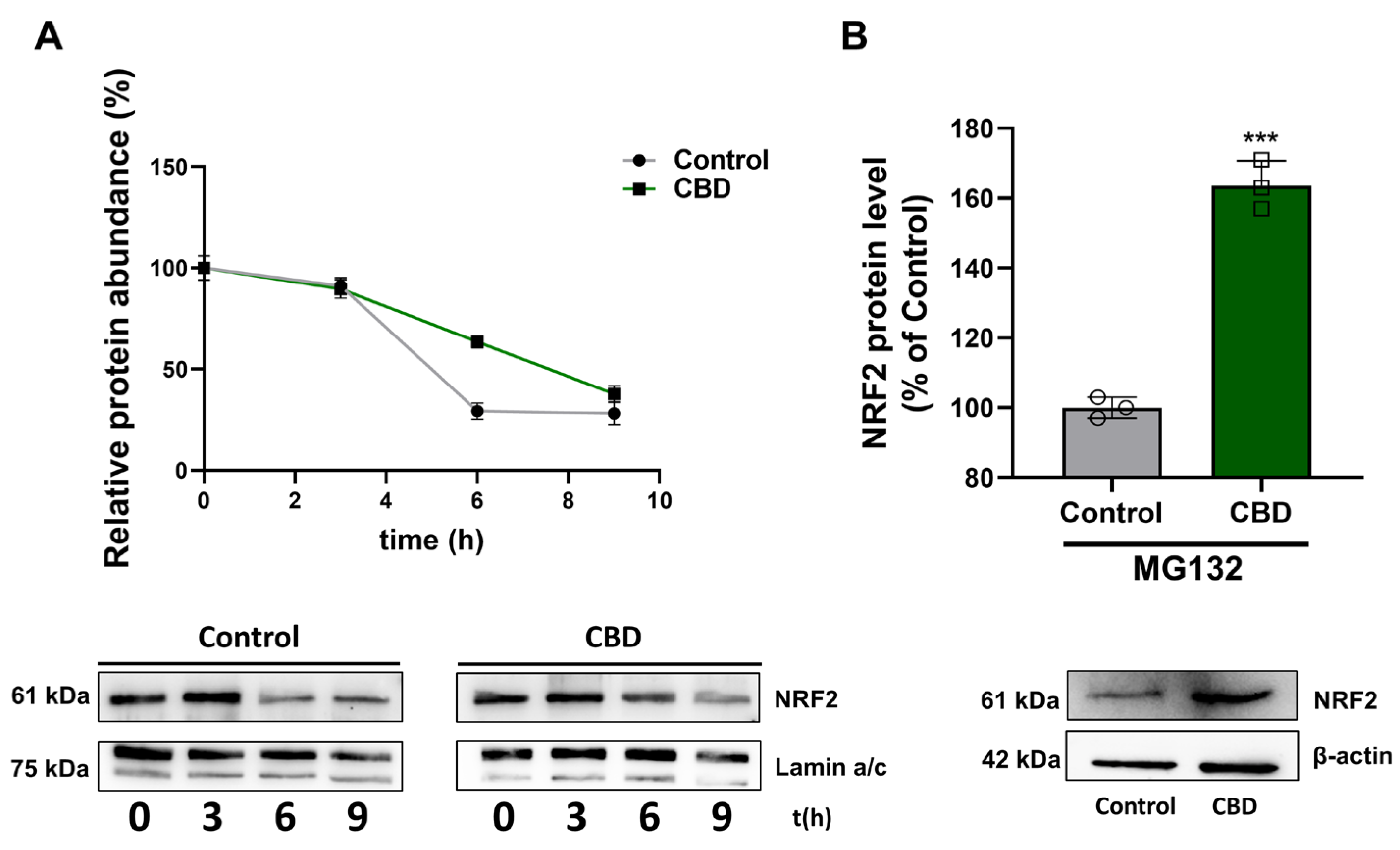 Antioxidants 14 00018 g008
