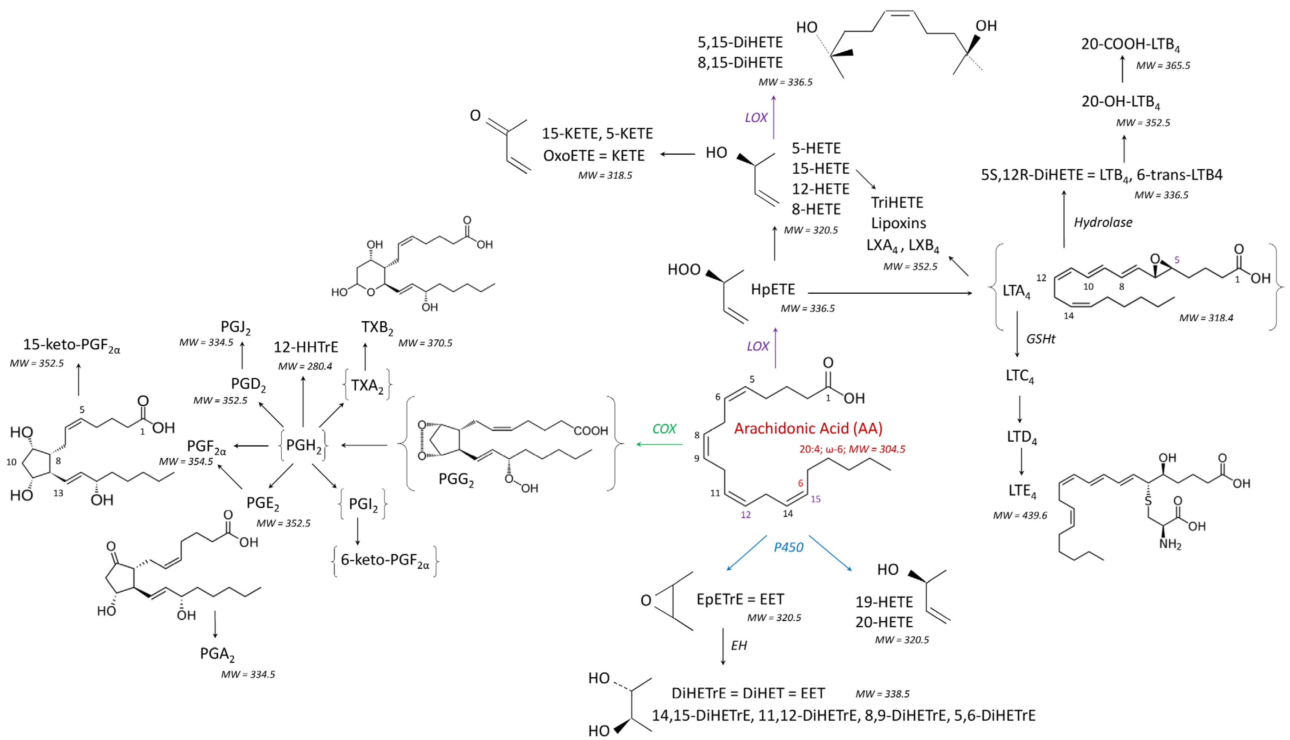 Antioxidants 14 00019 g001