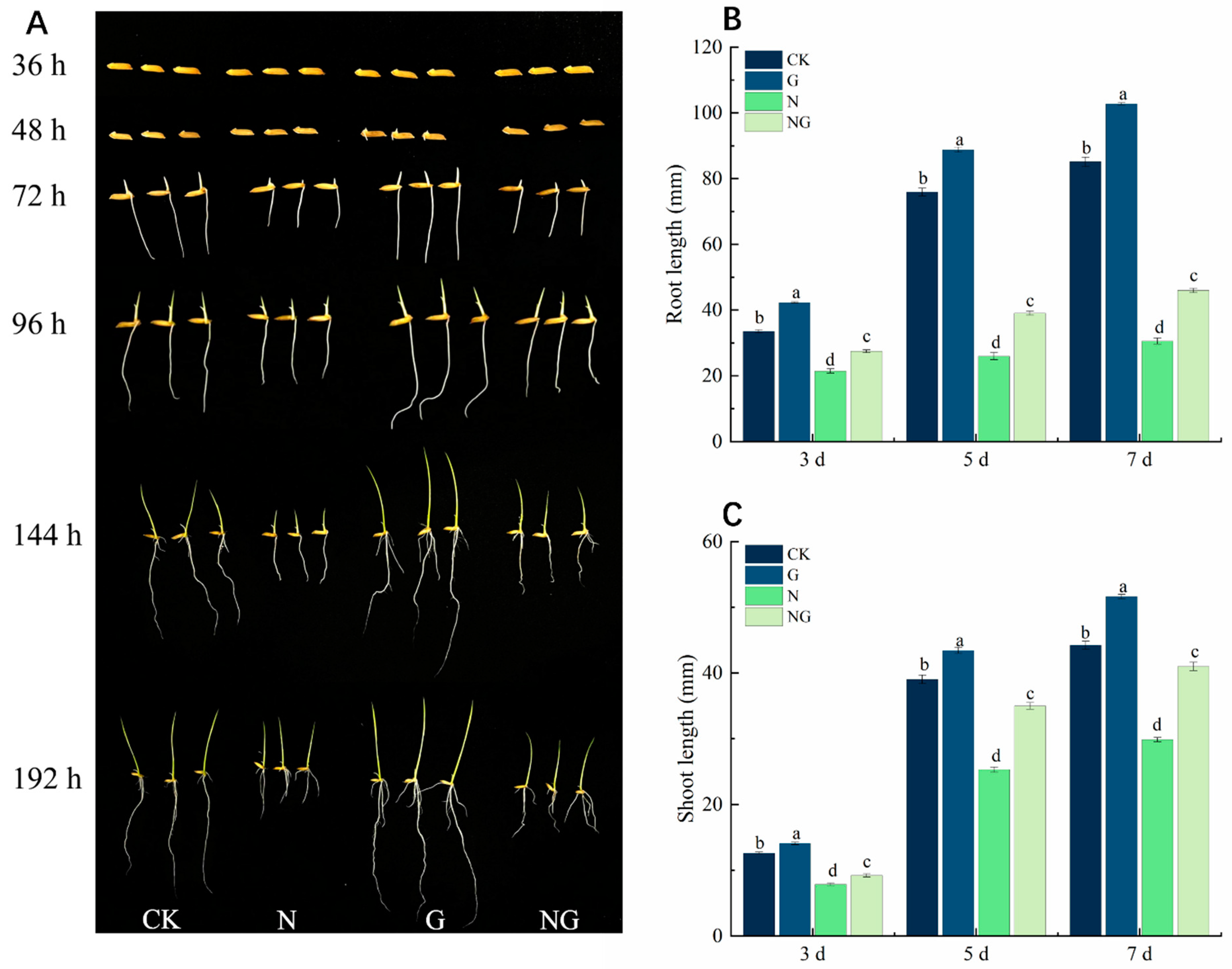 Antioxidants 14 00022 g002