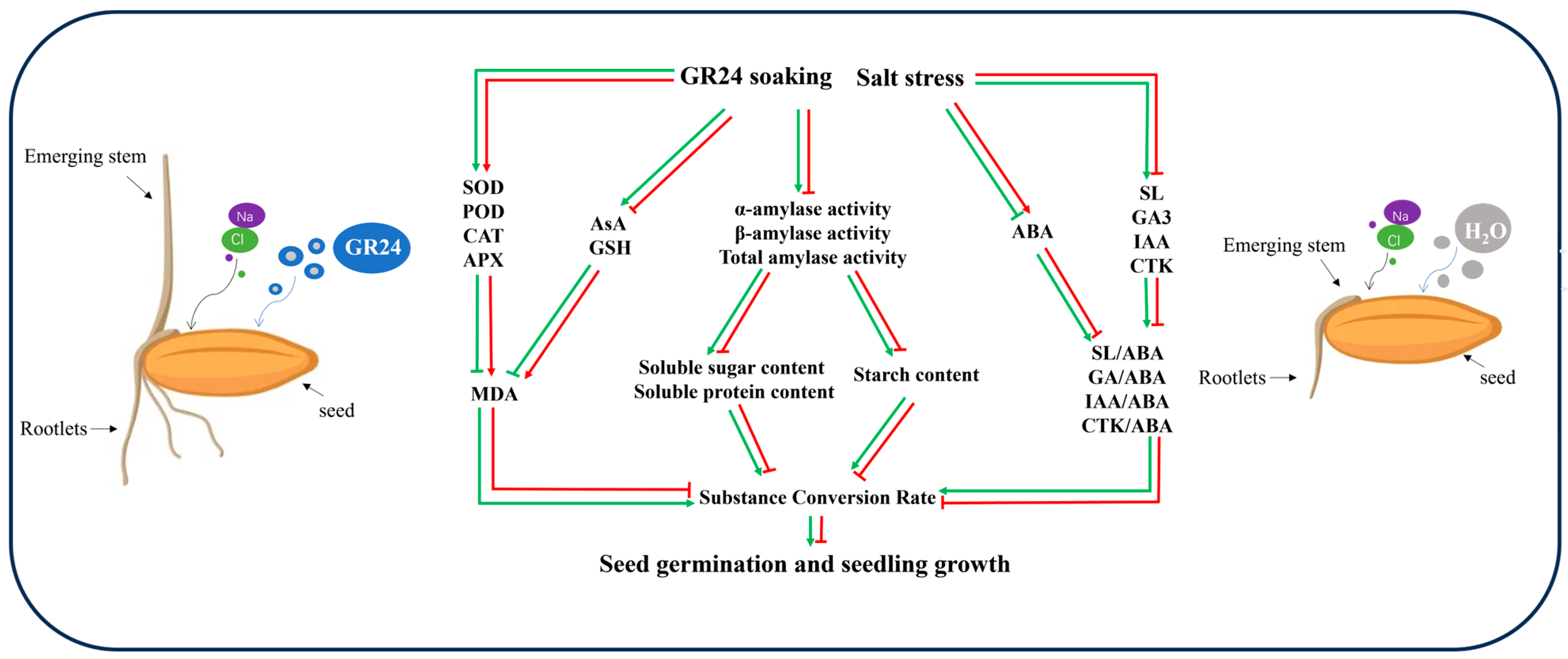 Antioxidants 14 00022 g008