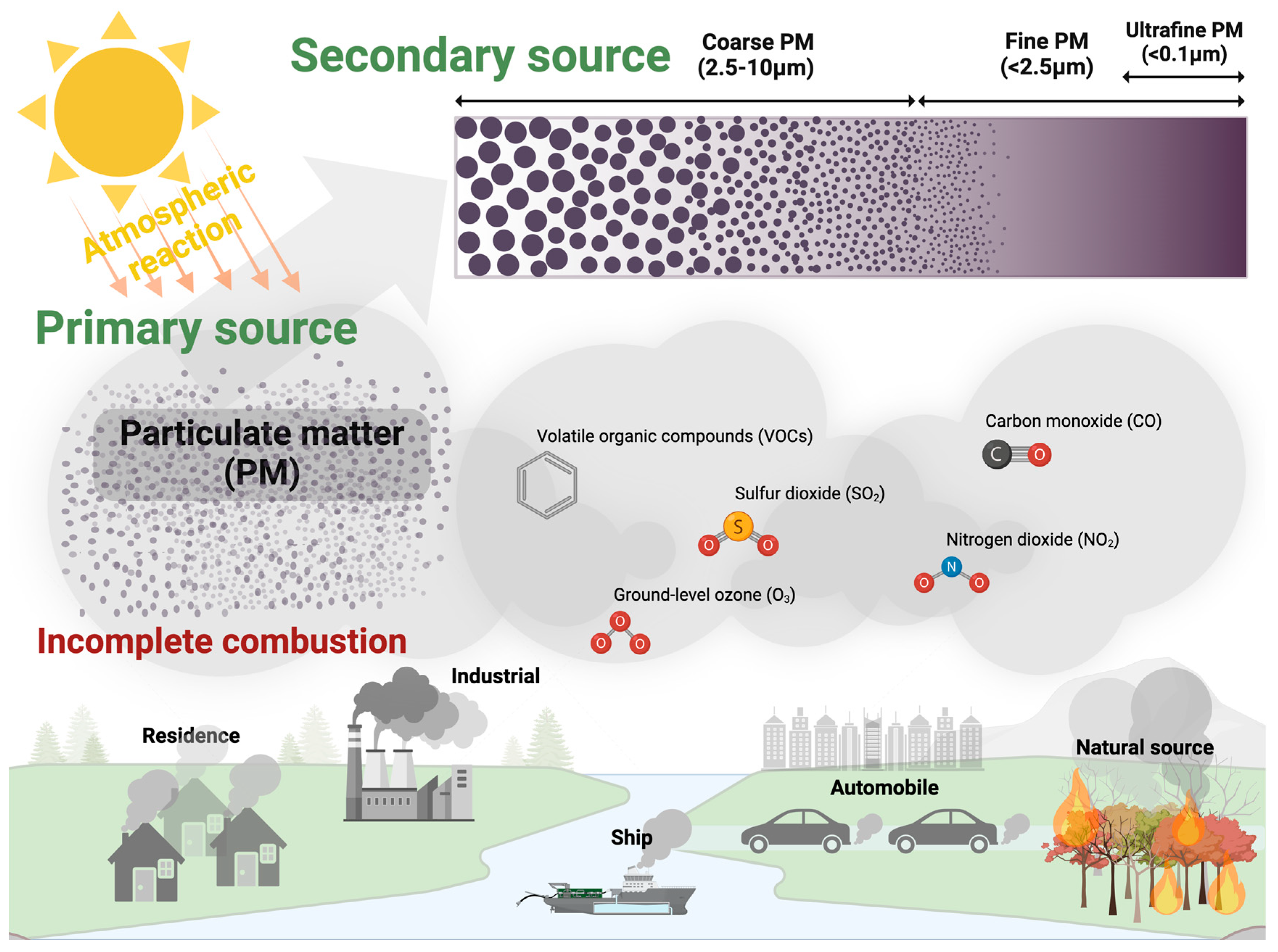 Antioxidants 14 00023 g001 Antioxidants 14 00023 g001