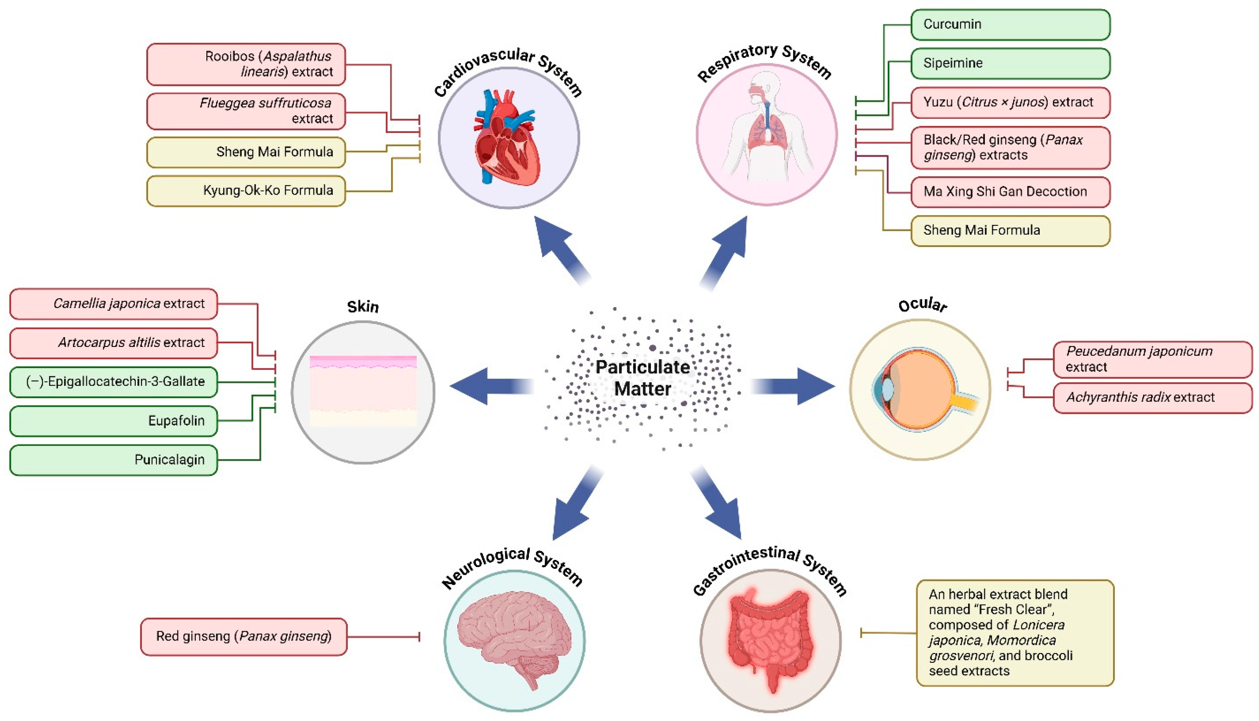 Antioxidants 14 00023 g003 Antioxidants 14 00023 g003