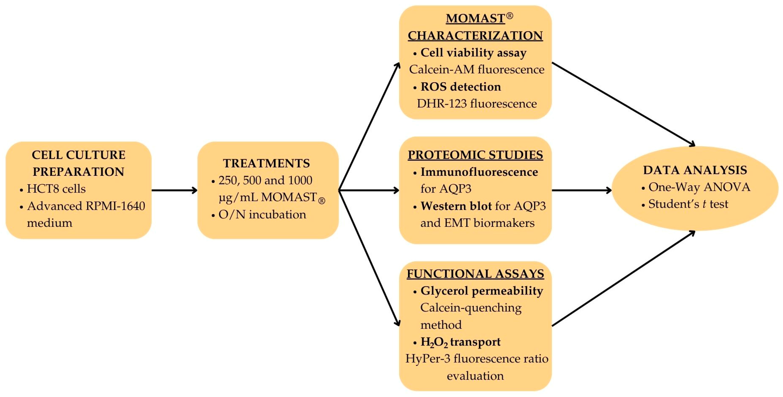 Antioxidants 14 00026 sch001