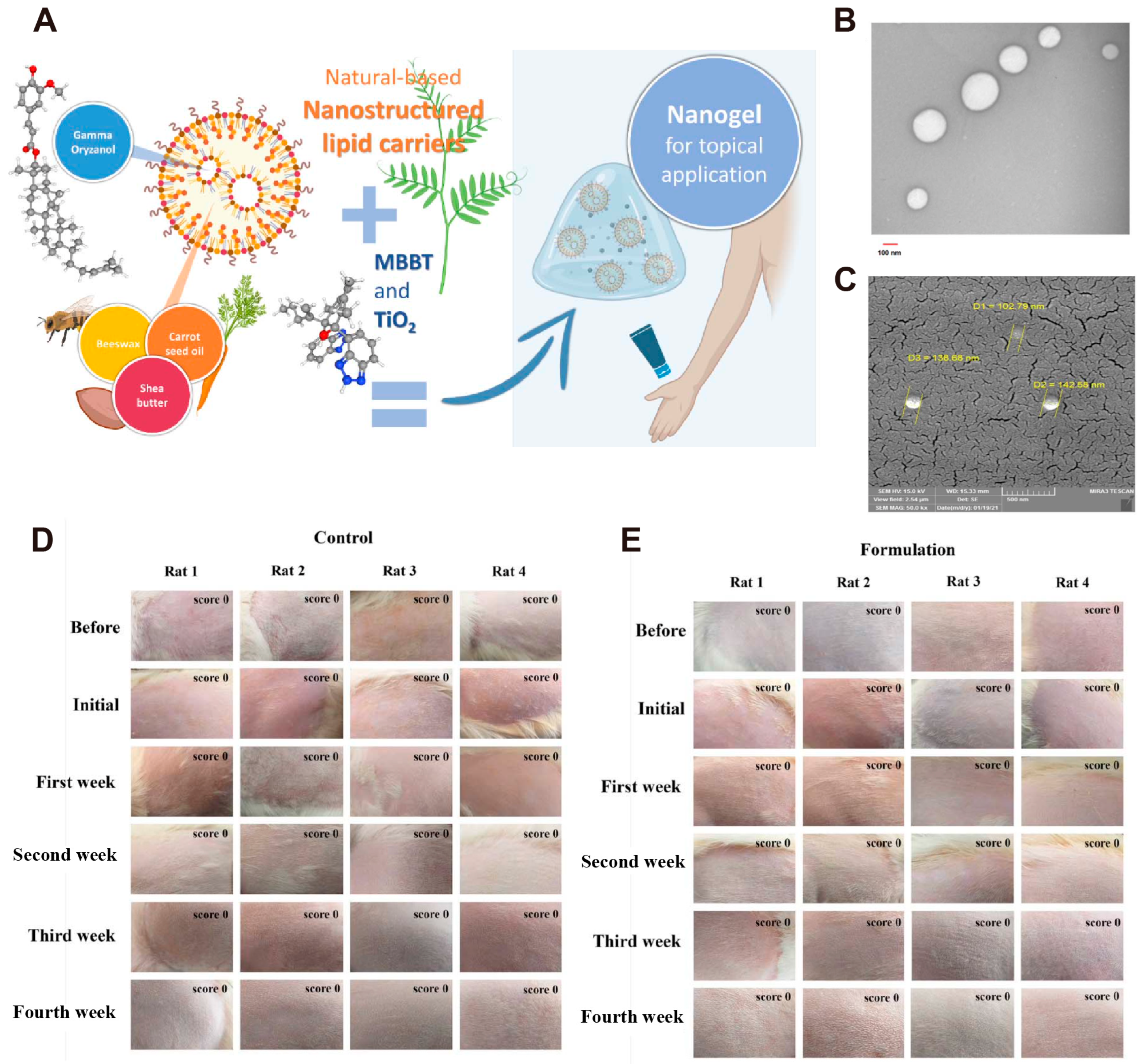 Antioxidants 14 00027 g004