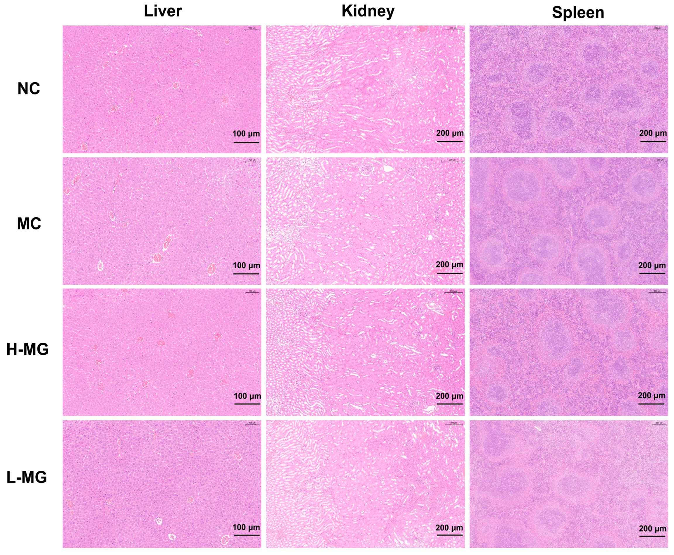 Antioxidants 14 00030 g003 Antioxidants 14 00030 g003