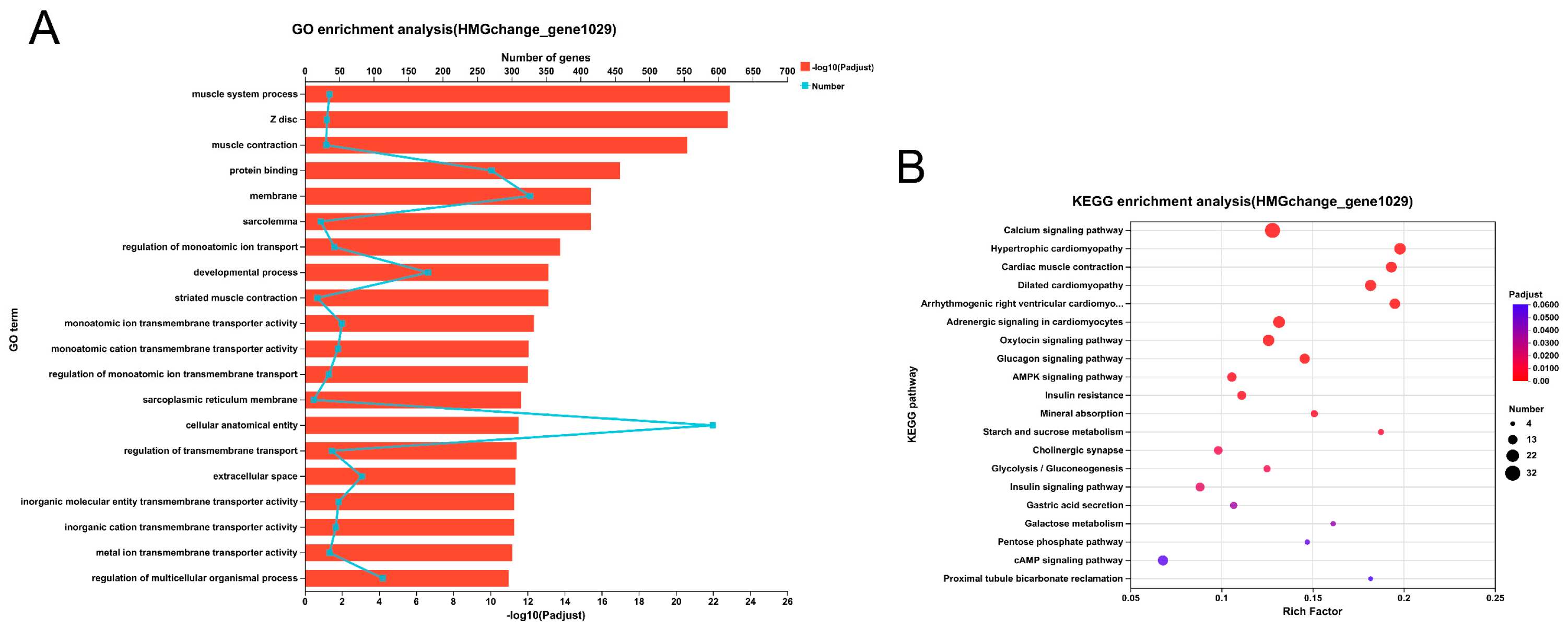 Antioxidants 14 00030 g012 Antioxidants 14 00030 g012