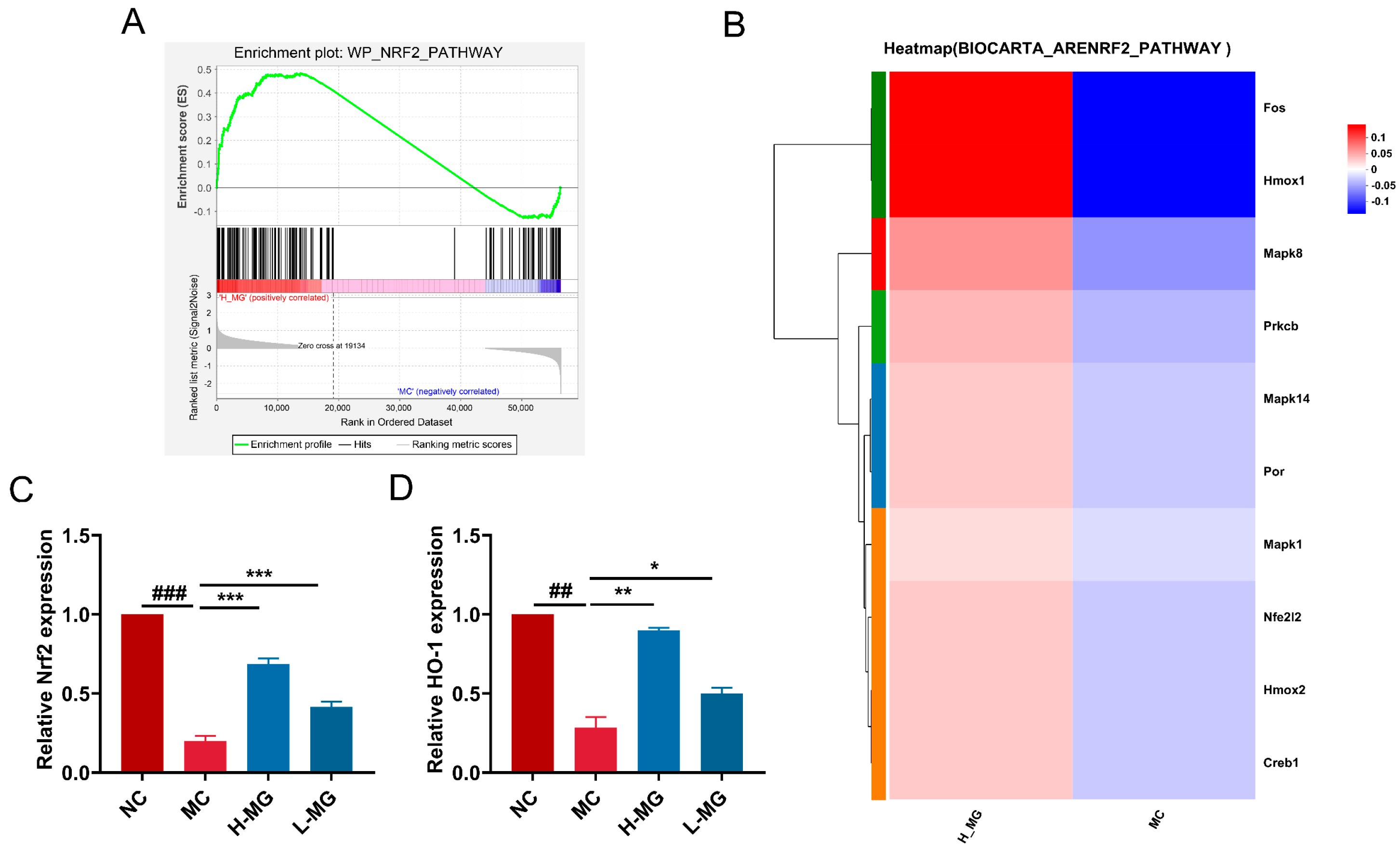 Antioxidants 14 00030 g013 Antioxidants 14 00030 g013