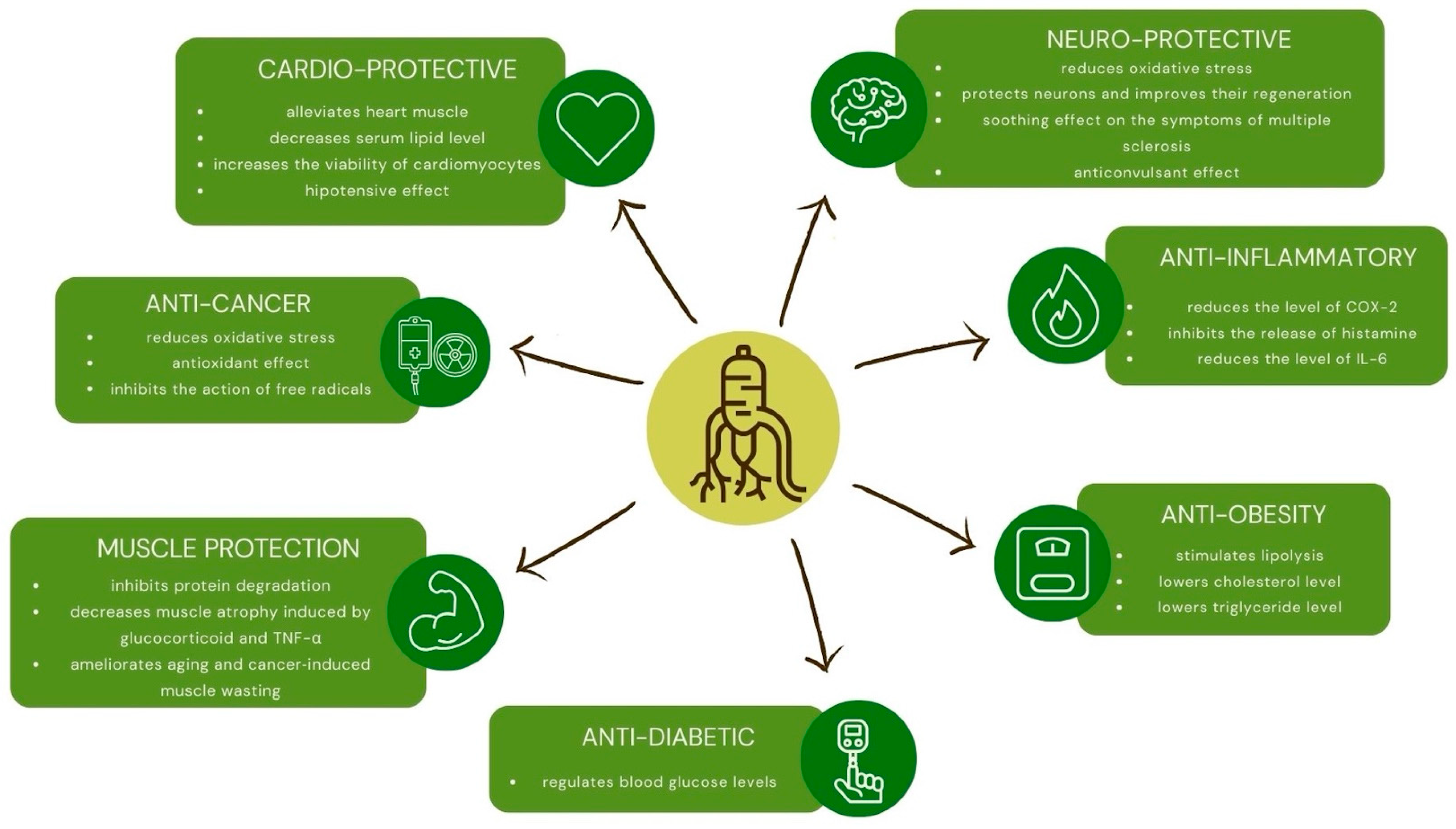 Antioxidants 14 00032 g001 Antioxidants 14 00032 g001