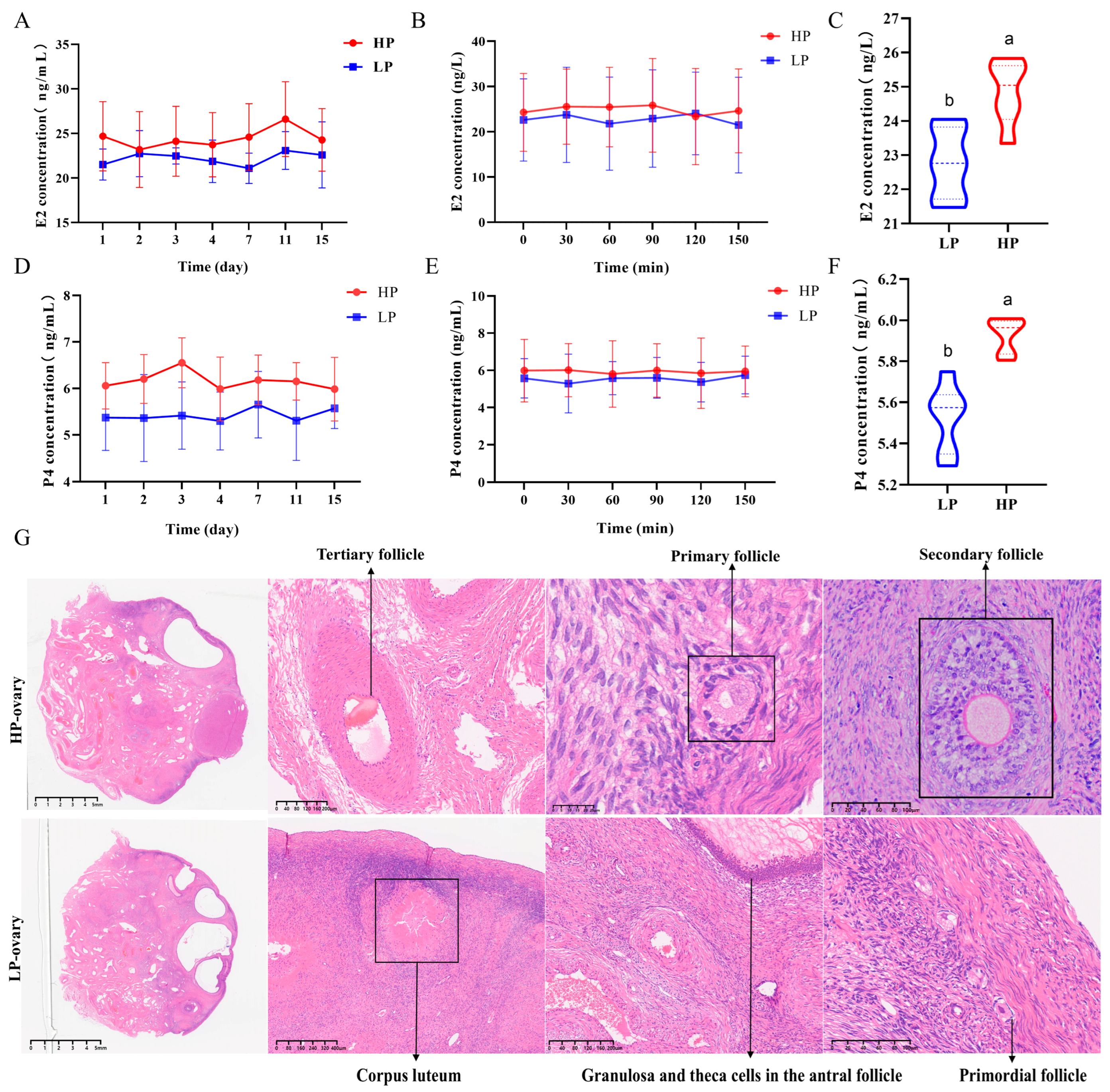 Antioxidants 14 00034 g001