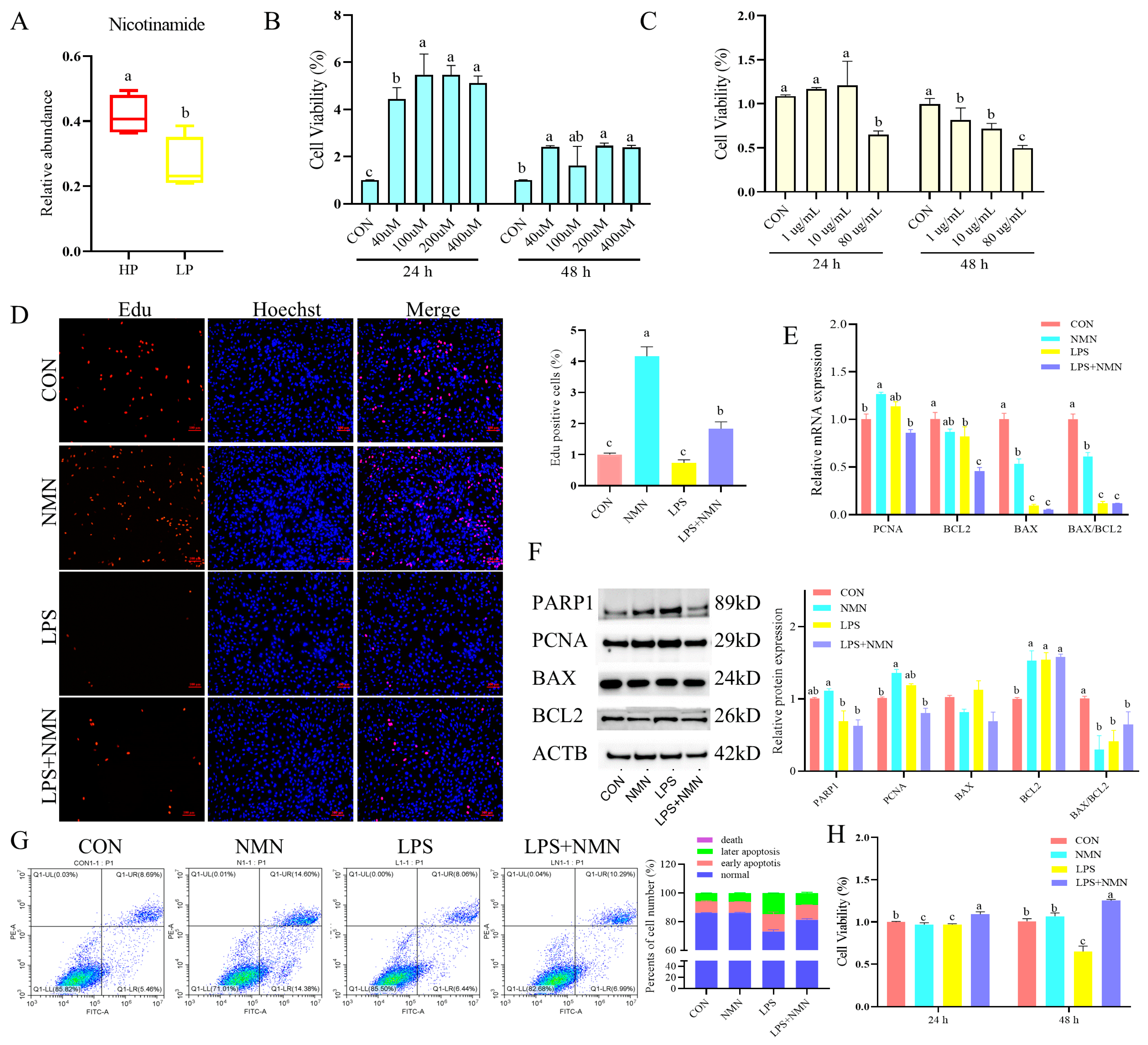 Antioxidants 14 00034 g004