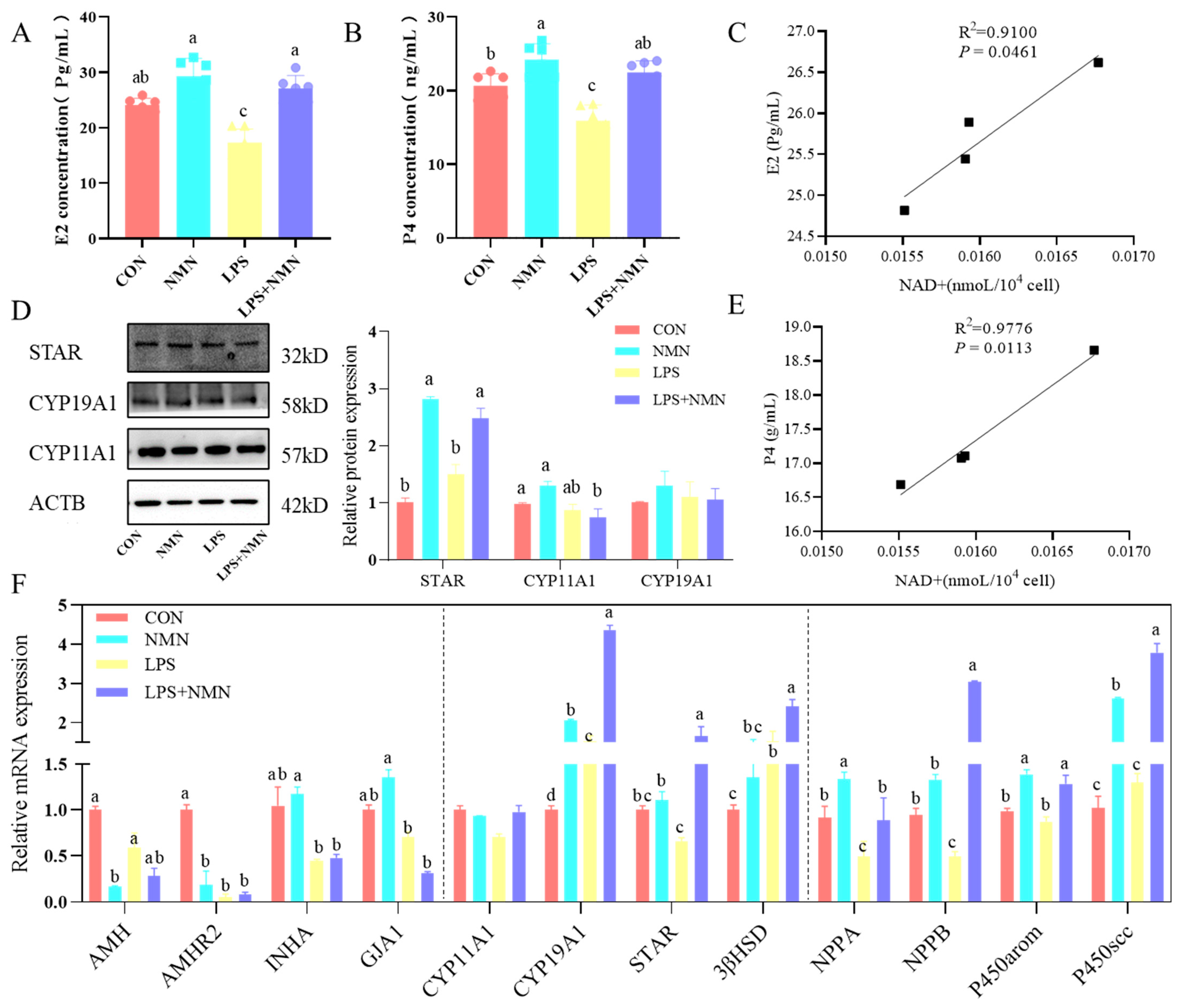 Antioxidants 14 00034 g007