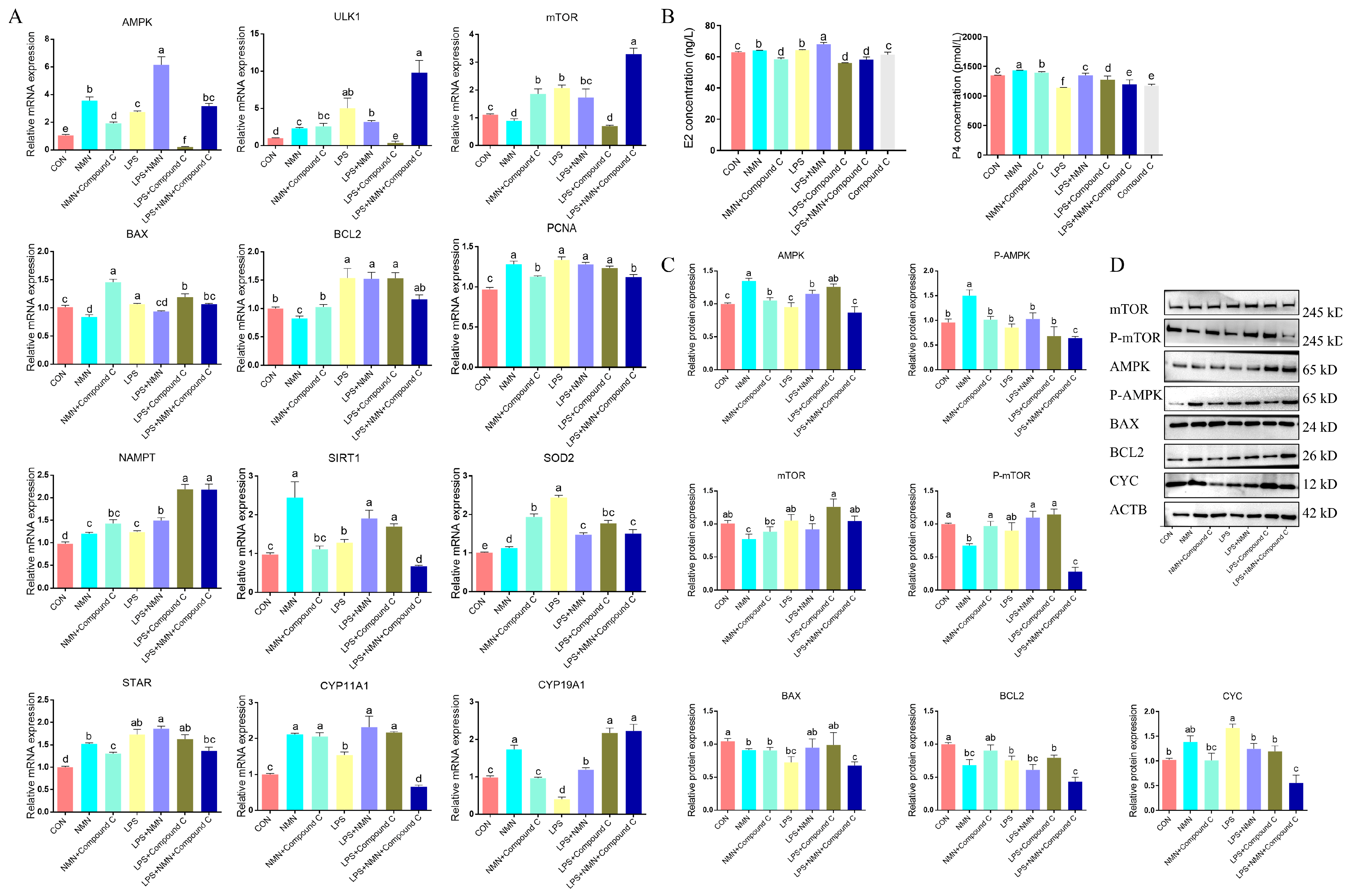 Antioxidants 14 00034 g008