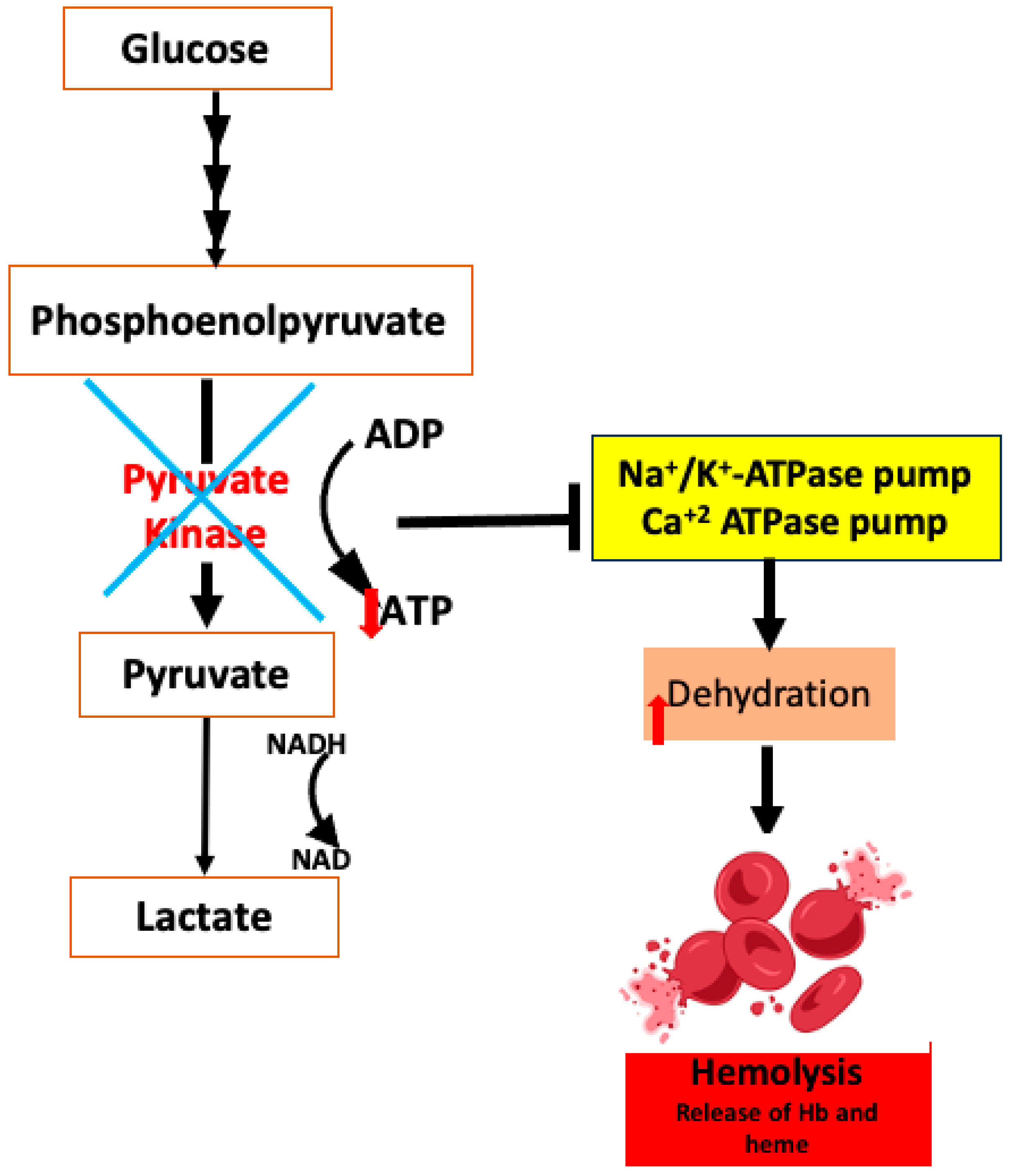 Antioxidants 14 00036 g003