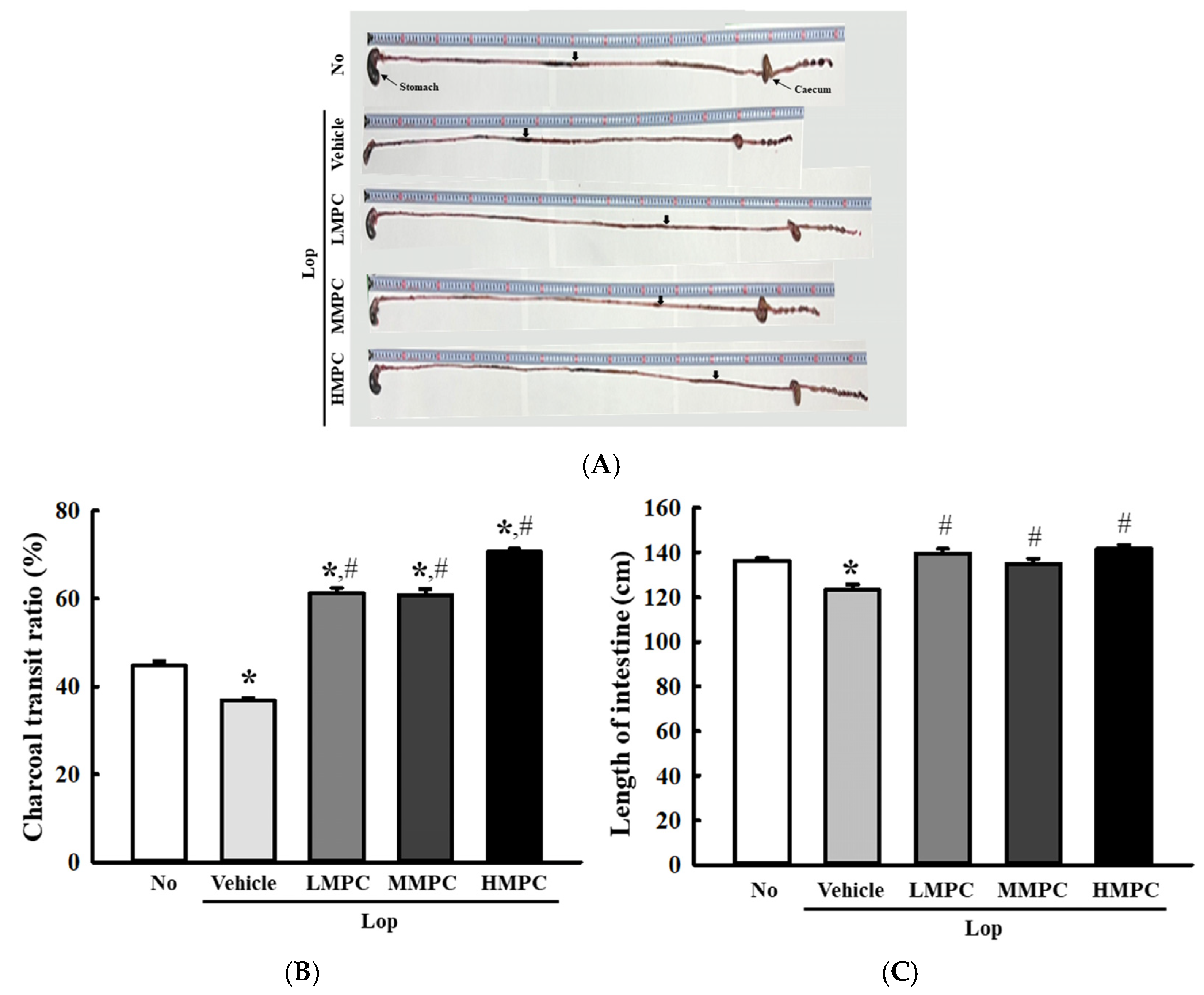 Antioxidants 14 00037 g007