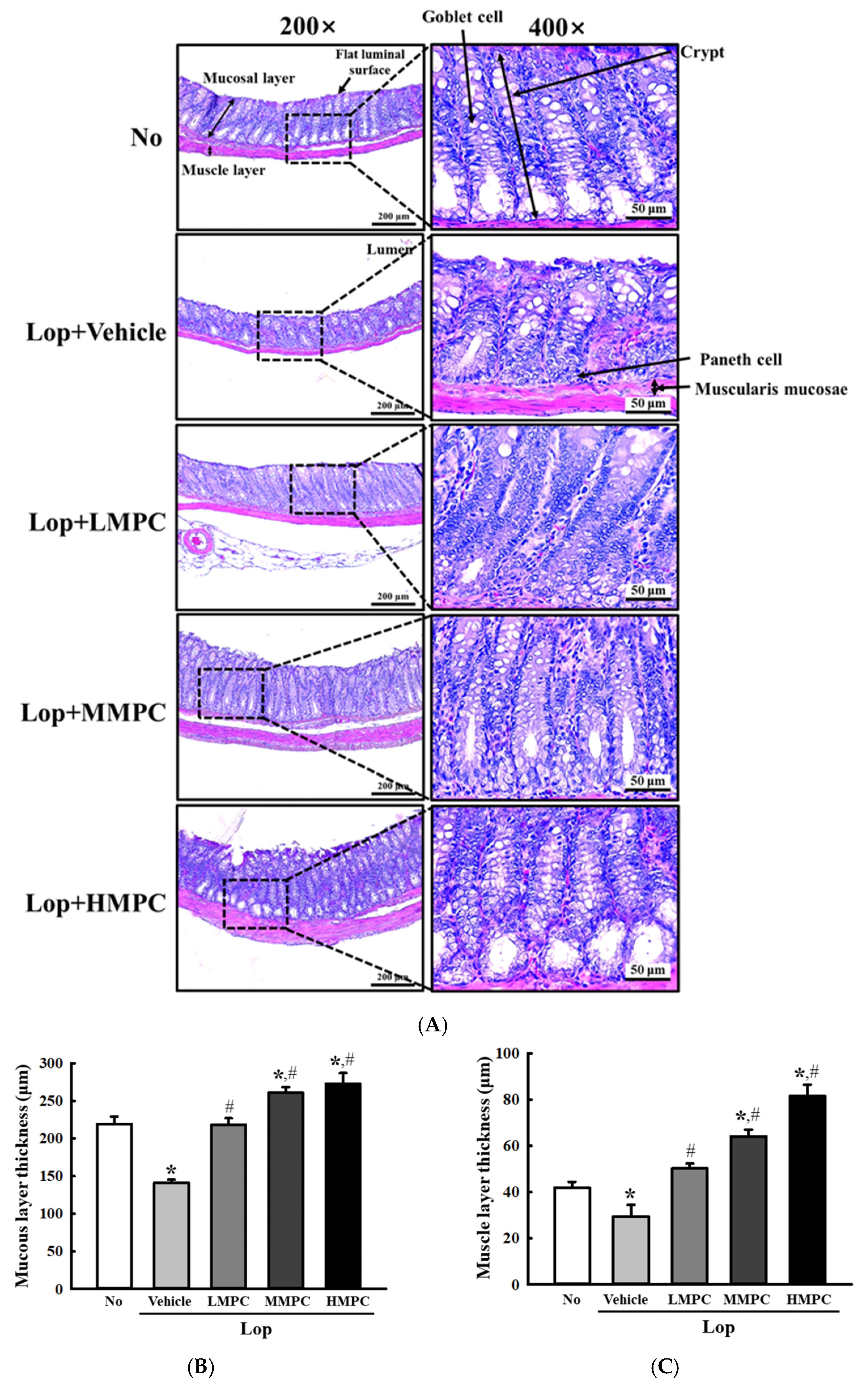 Antioxidants 14 00037 g008a