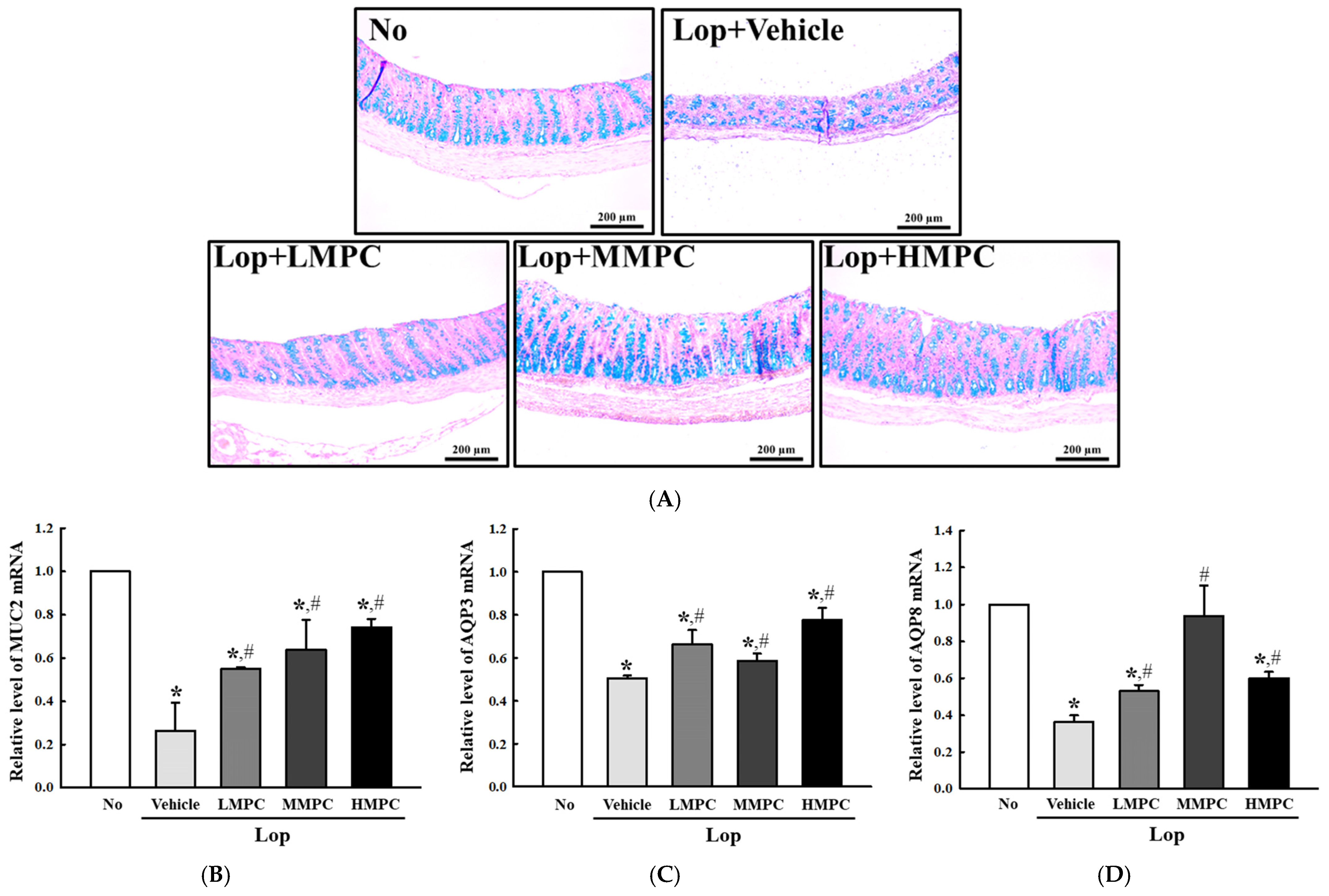 Antioxidants 14 00037 g009