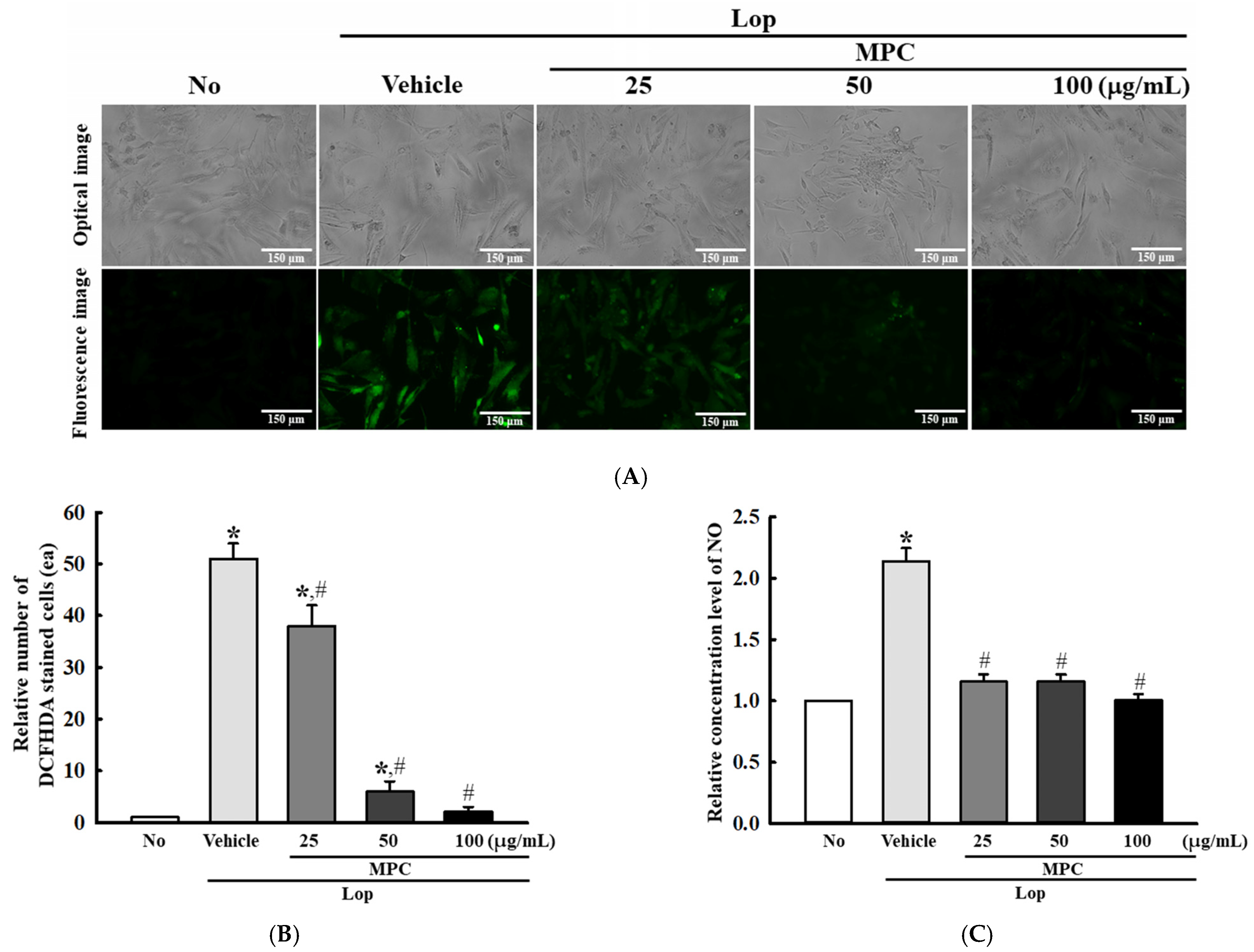 Antioxidants 14 00037 g012