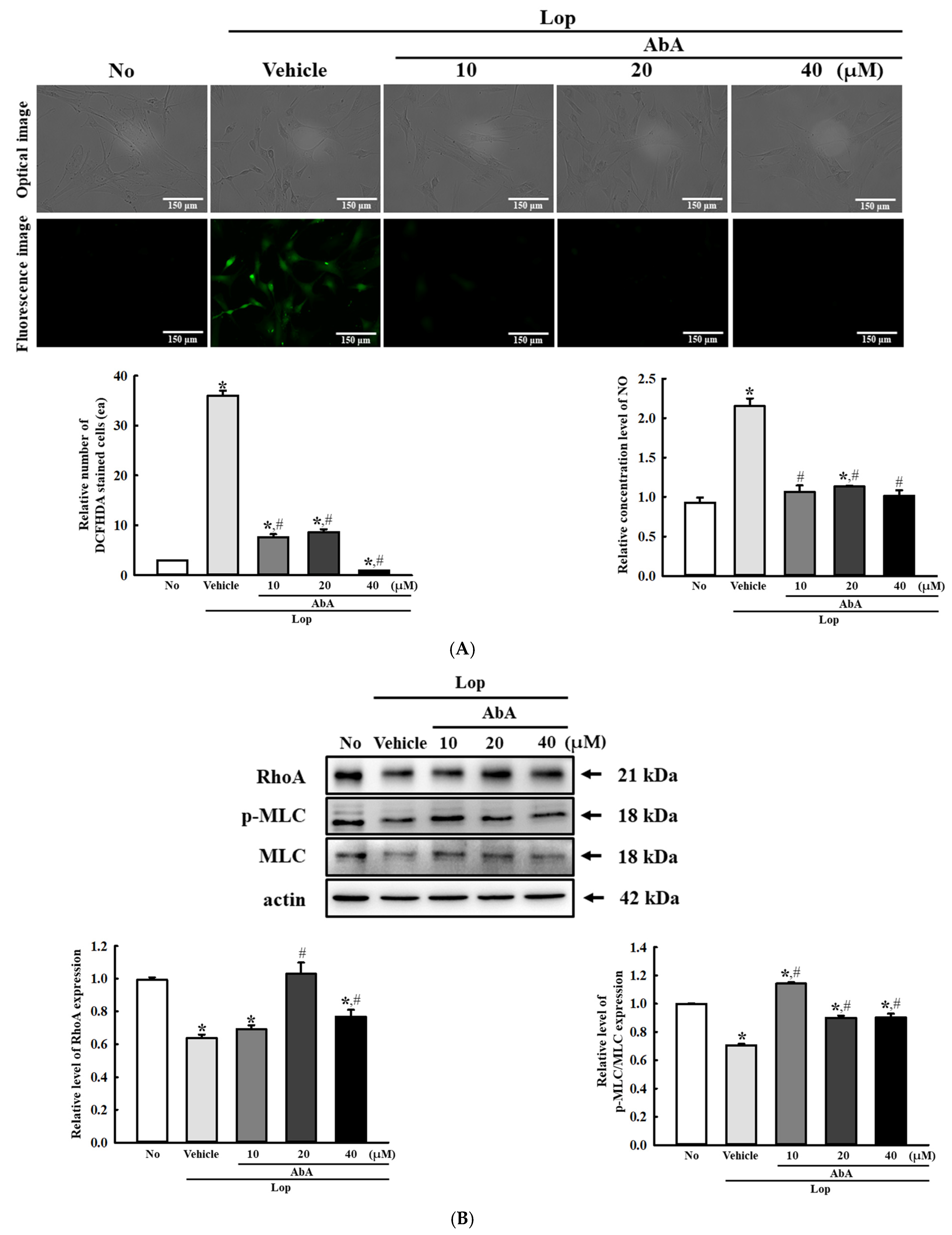 Antioxidants 14 00037 g014