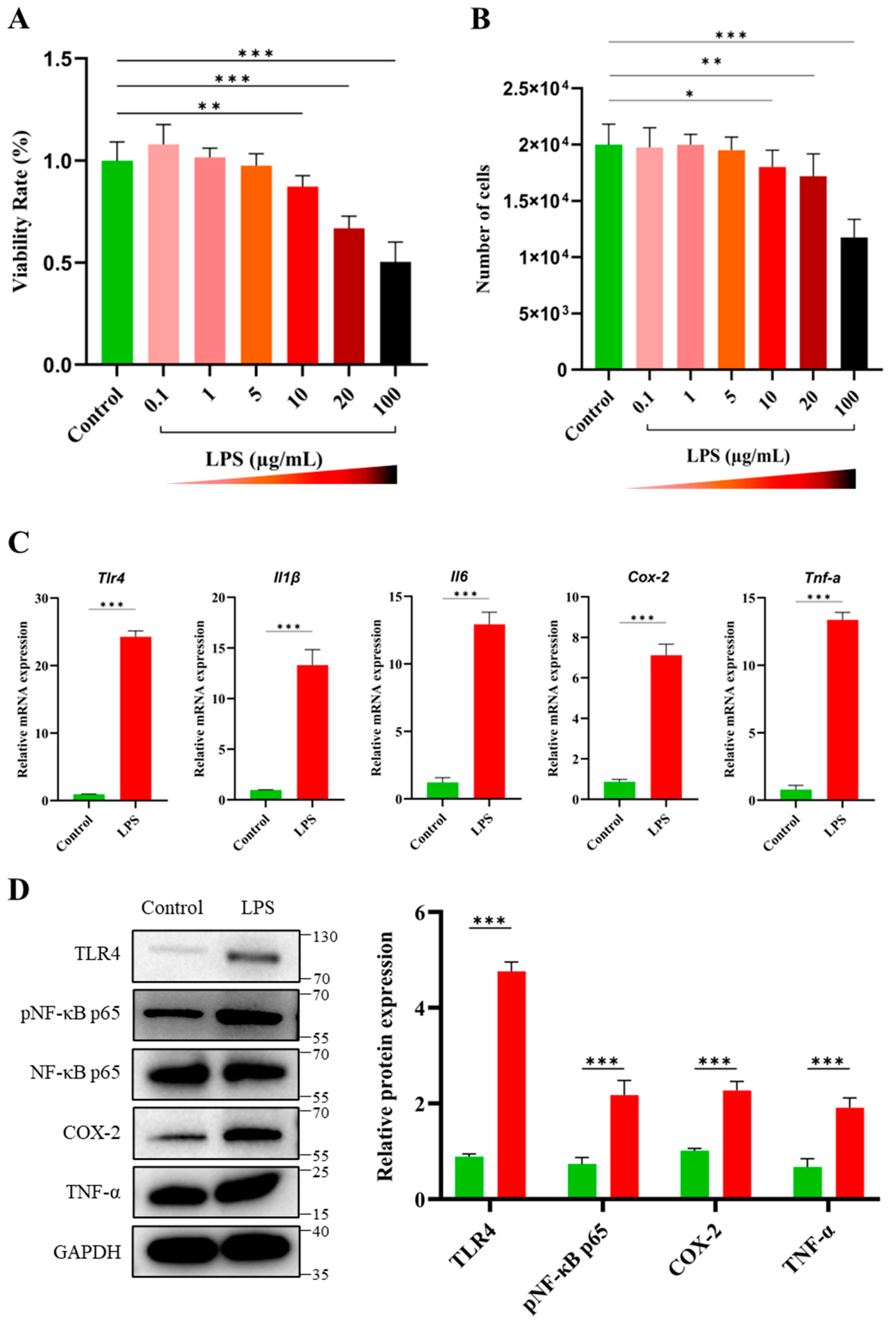 Antioxidants 14 00039 g001