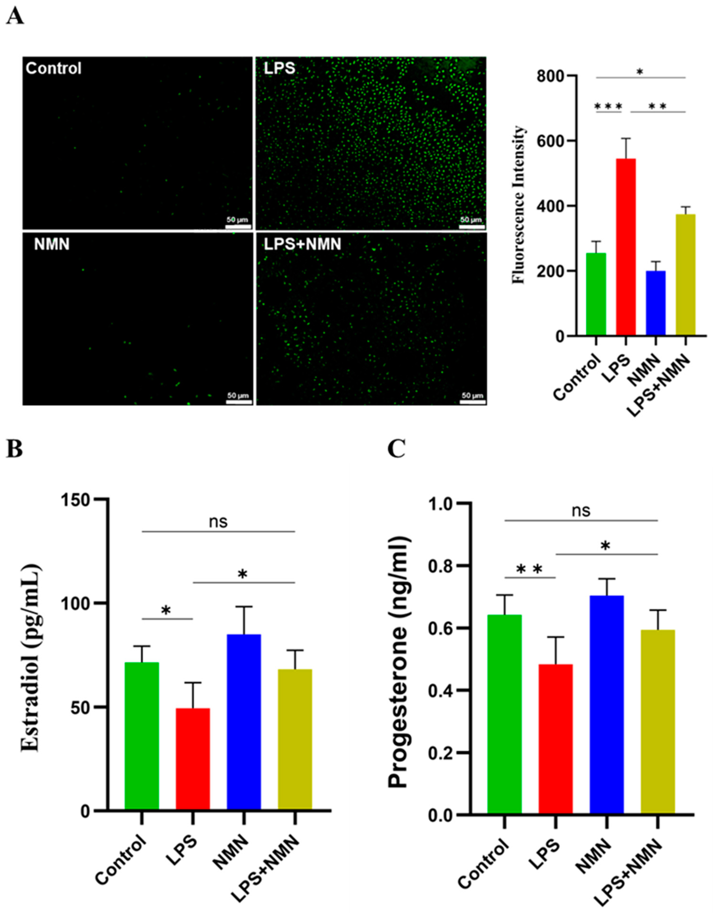 Antioxidants 14 00039 g005