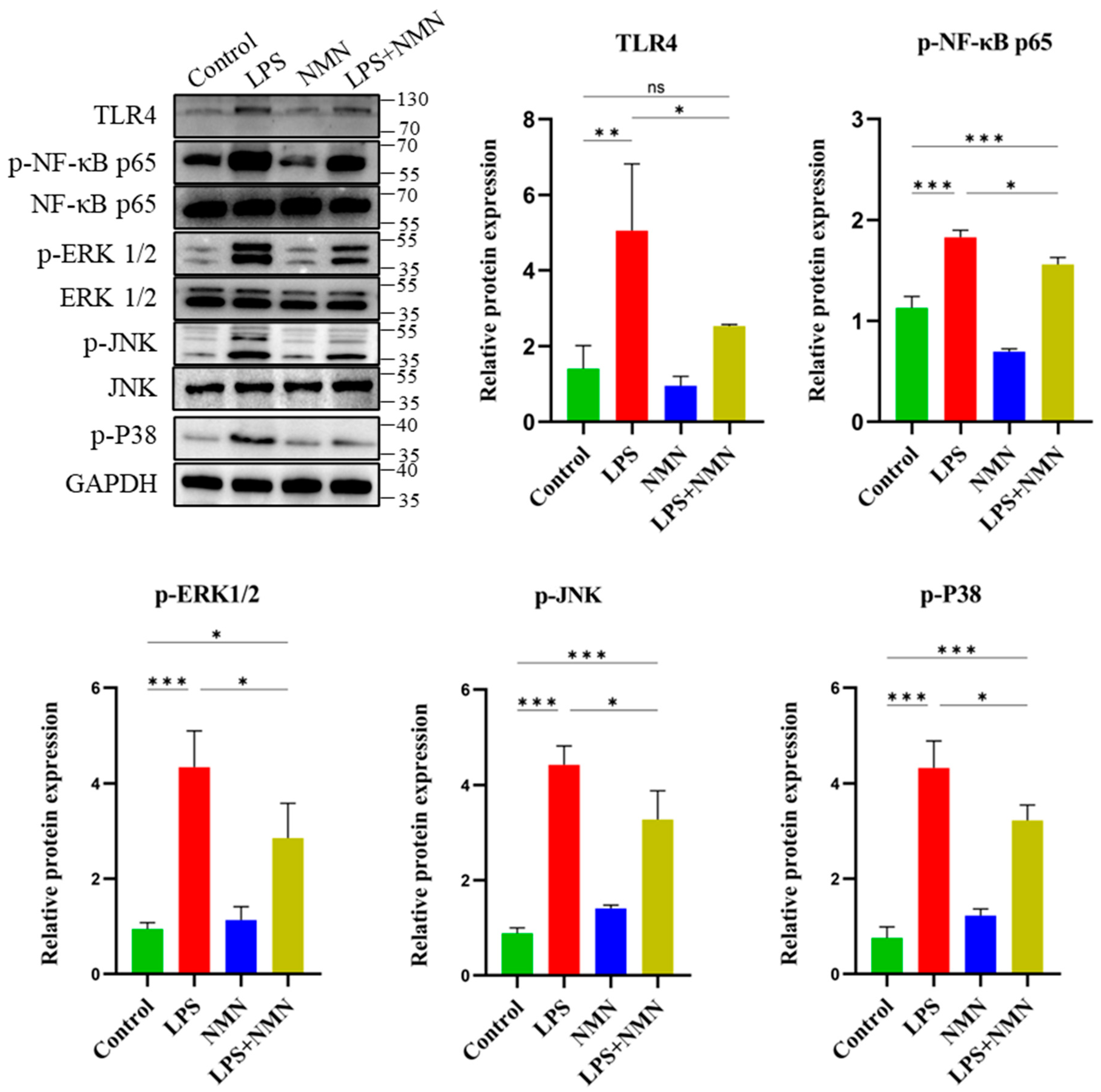 Antioxidants 14 00039 g006