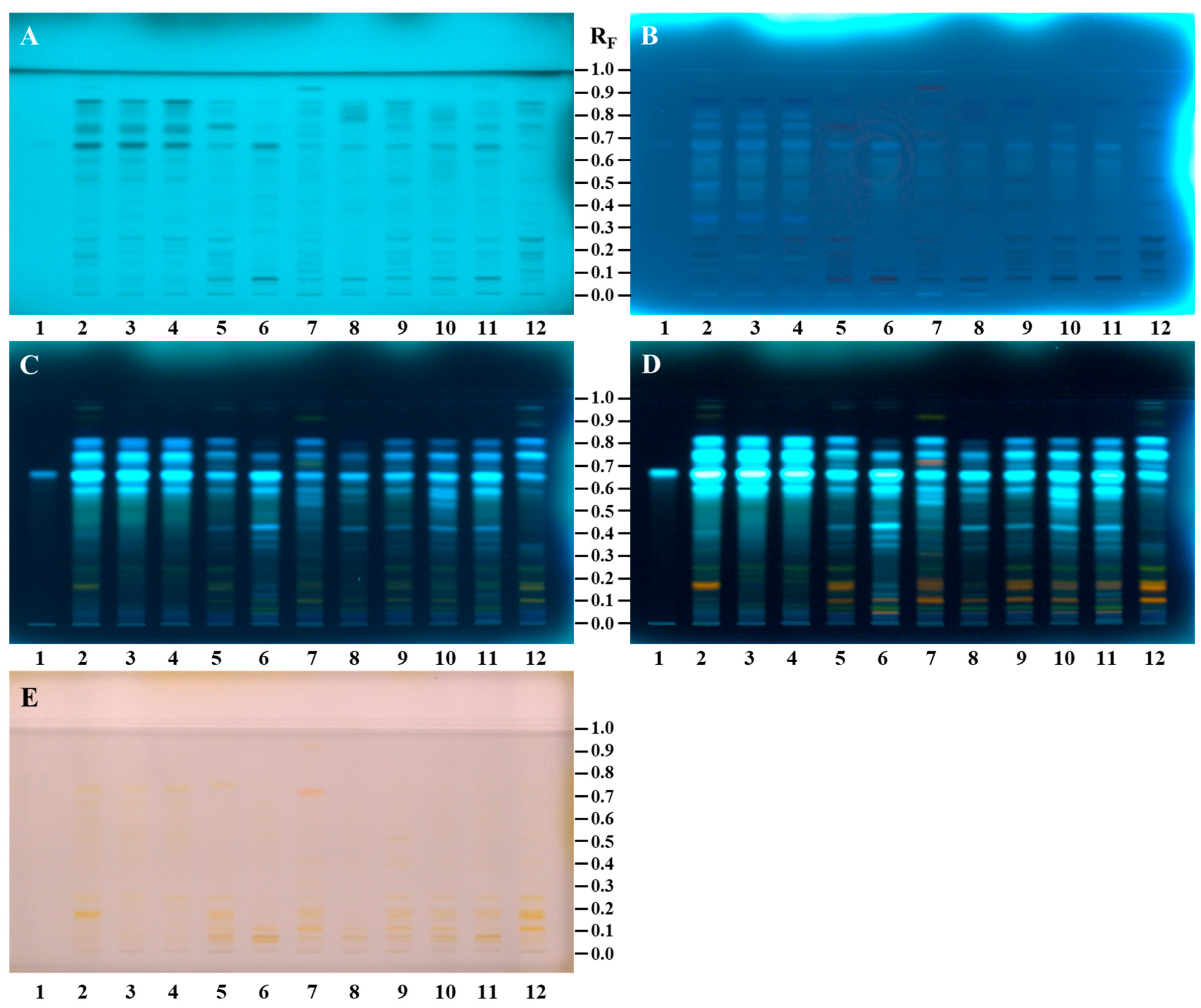 Antioxidants 14 00040 g002