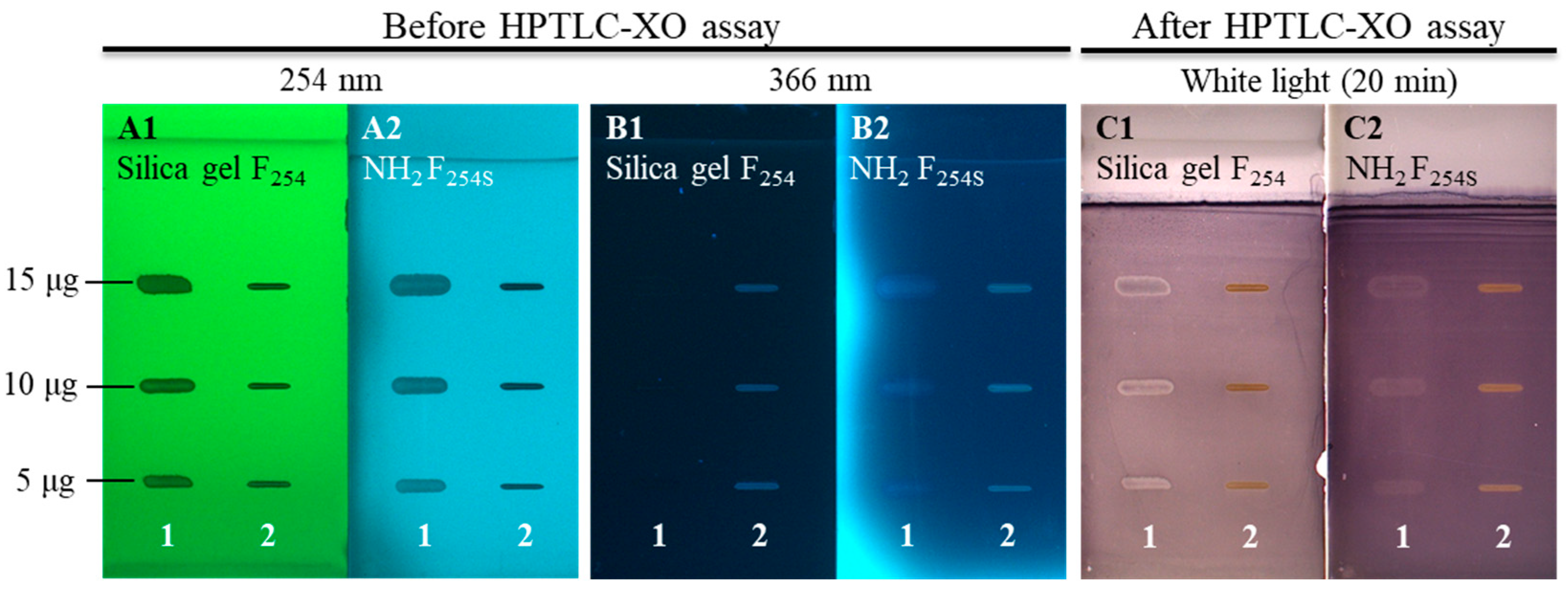 Antioxidants 14 00040 g010