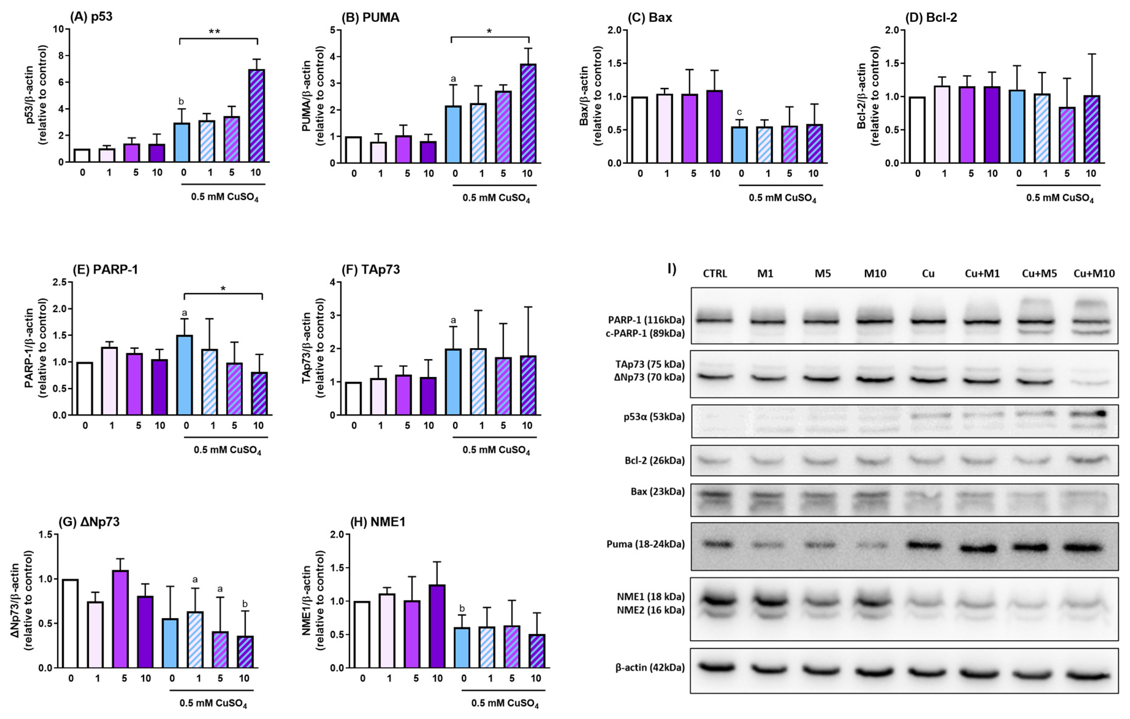 Antioxidants 14 00046 g004