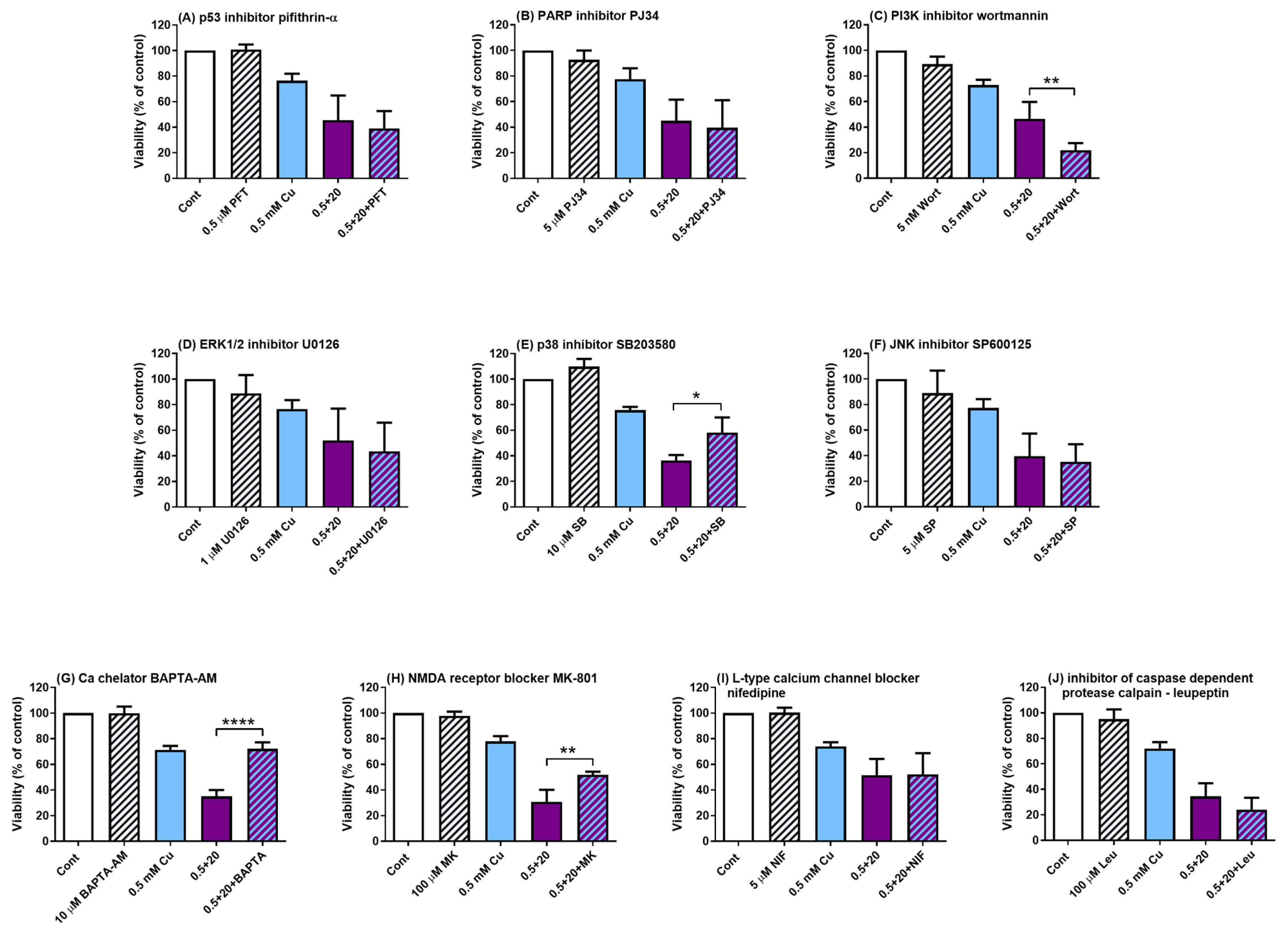 Antioxidants 14 00046 g005