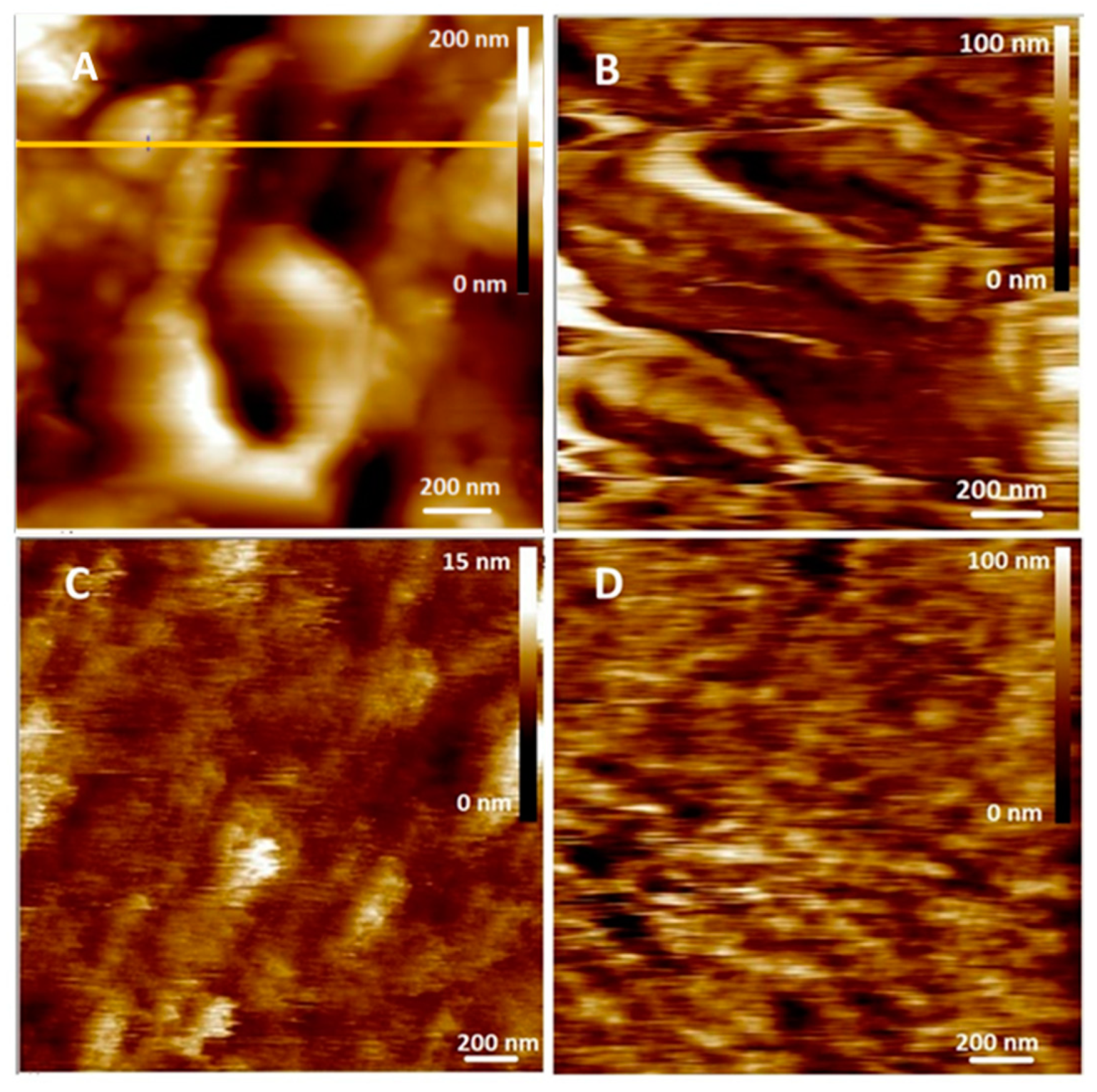 Antioxidants 14 00046 g006