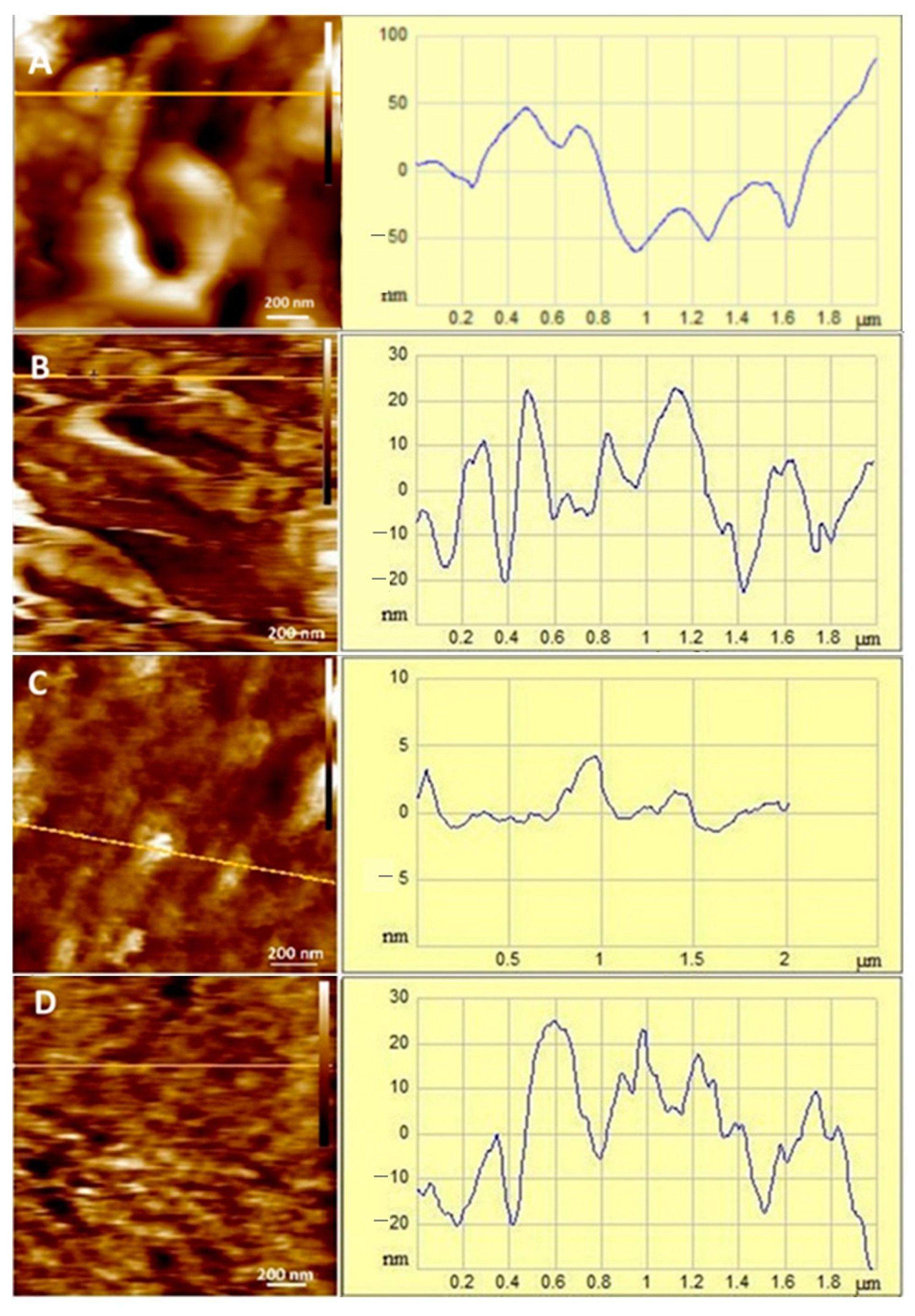 Antioxidants 14 00046 g007