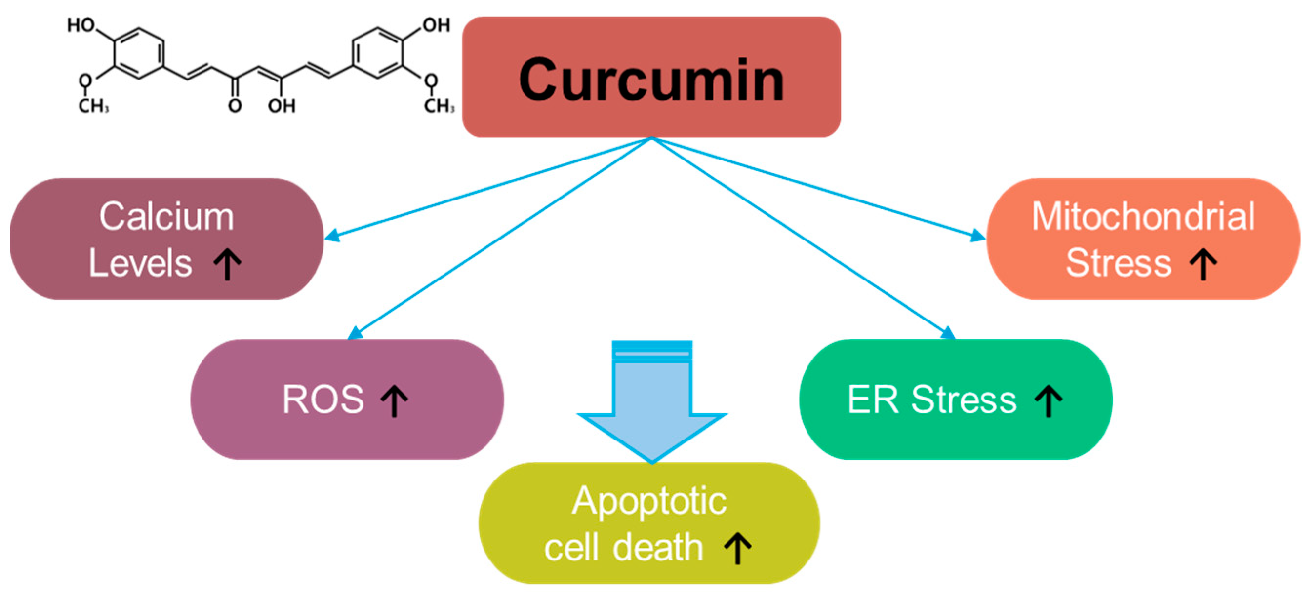 Antioxidants 14 00049 g004 Antioxidants 14 00049 g004