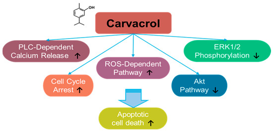 Jix Catalytic membrane reactors for carbon peaking and carbon